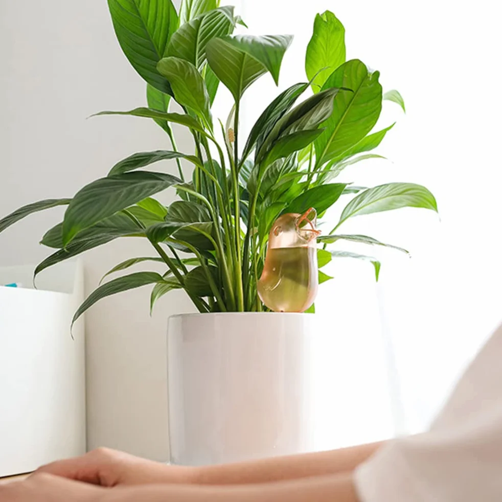 Wering Plant Self, Cute Bird Kolce do Podlewania Roślin Samonawadniające Kolce Automatyczne Podlewanie Roślin Seeper do Trawników i Rośliny Doniczkowe (Wodny błękit)