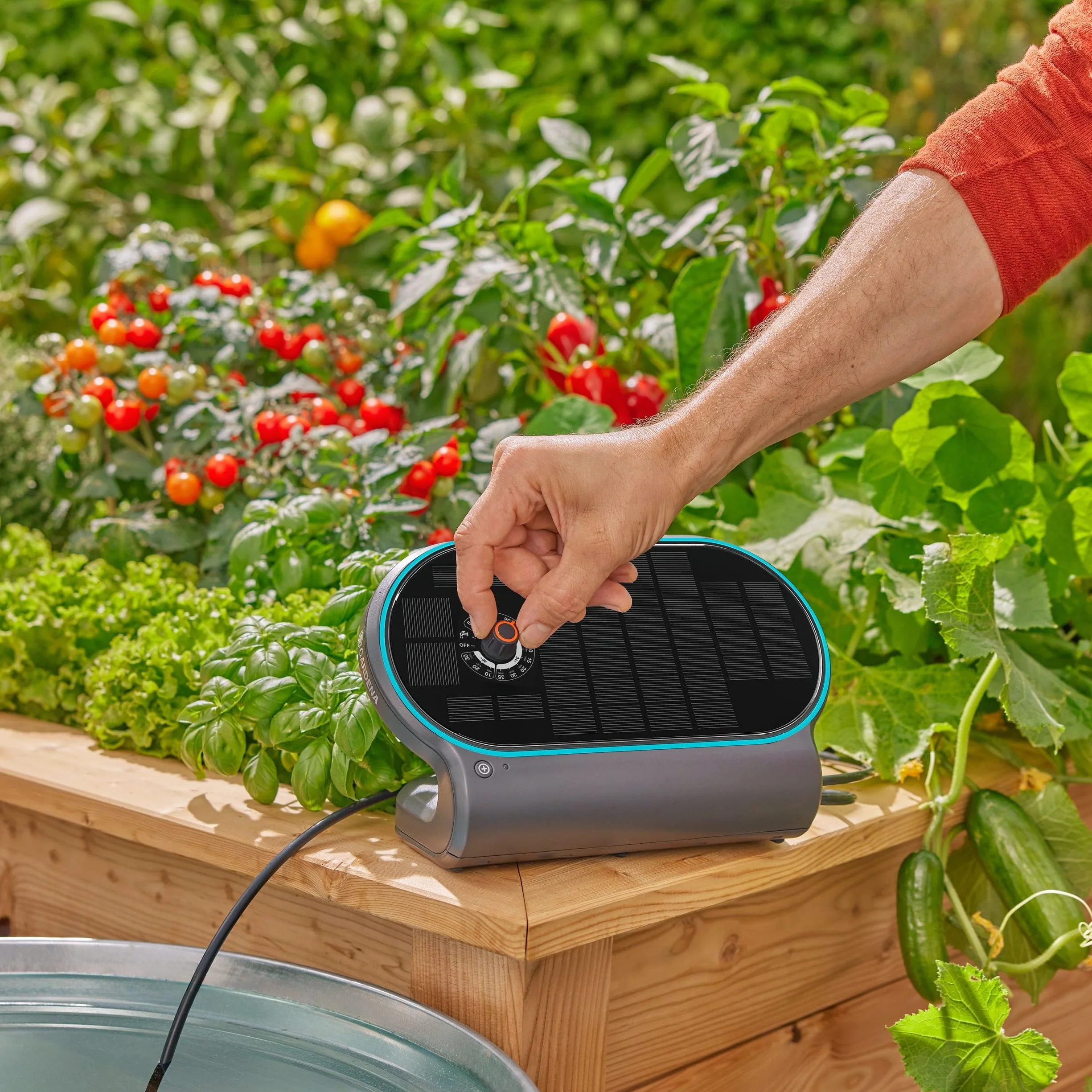 Gardena System nawadniania słonecznego AquaBloom L Set, automatyczny system nawadniania