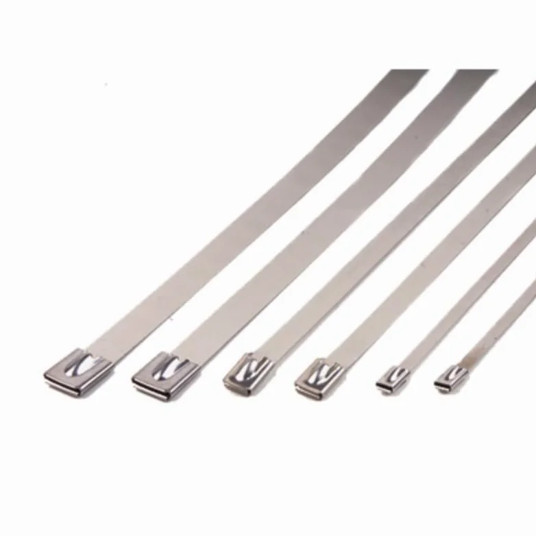 opaski zaciskowe, Ok. 10/20 szt. Metalowa opaska zaciskowa ze stali nierdzewnej do rur wydechowych, rura indukcyjna, szerokość 4,6 mm, materiał 304, x 10(10pcs,4.6mmx300mm)