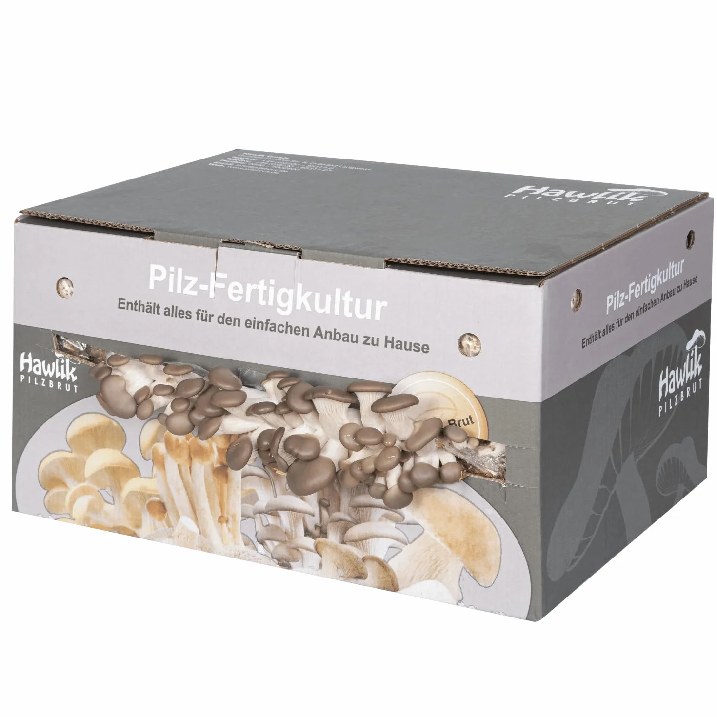 Hawlik Pilzbrut zestaw do hodowli boczniaków 1,5 kg