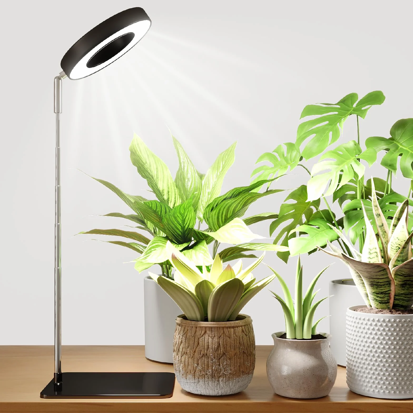 Bamworld Lampa do uprawy roślin LED pełne spektrum 8W regulowana wysokość