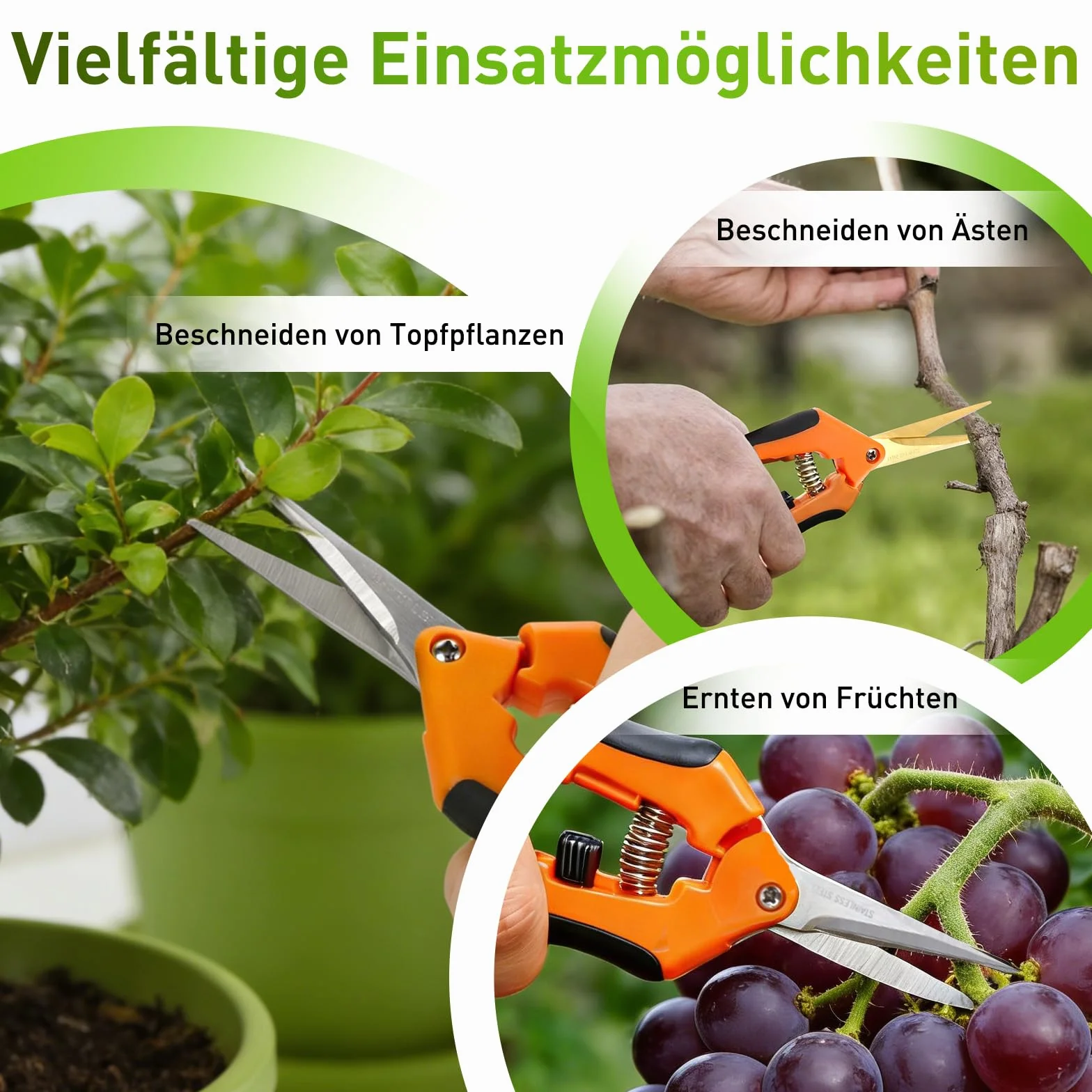 2 nożyce ogrodowe z ostrzami powlekanymi tytanem, precyzyjne cięcie, nożyce do róż, bonsai, nożyce do kwiatów, przycinania gałęzi drzew, kwiatów, owoców (proste + wygięte)