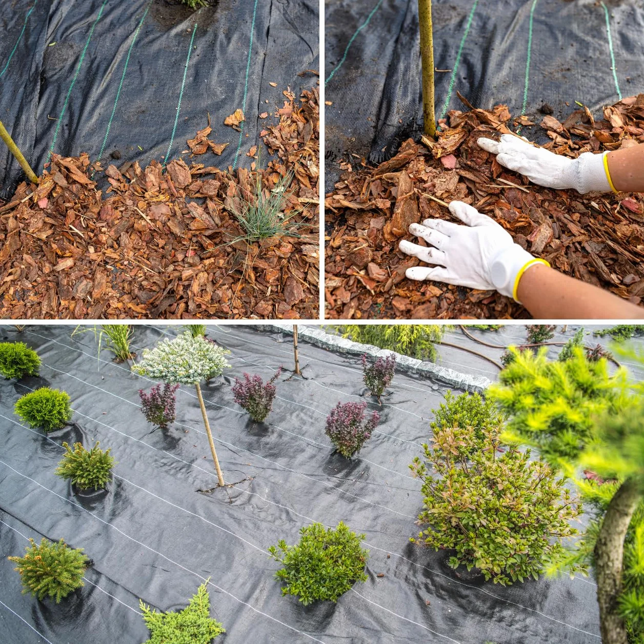 GARDENIX Włóknina przeciw chwastom 70 g/m² 0,8 m x 5 m czarna