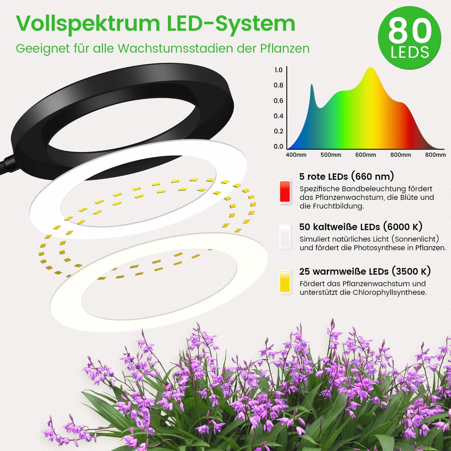 Dhapy Lampa LED do uprawy roślin pokojowych, z podstawką, 80 diod LED, 3 tryby świecenia i 5 jasności, lampa do roślin z timerem 6/12/16H, 58 cm~170 cm, regulacja wysokości