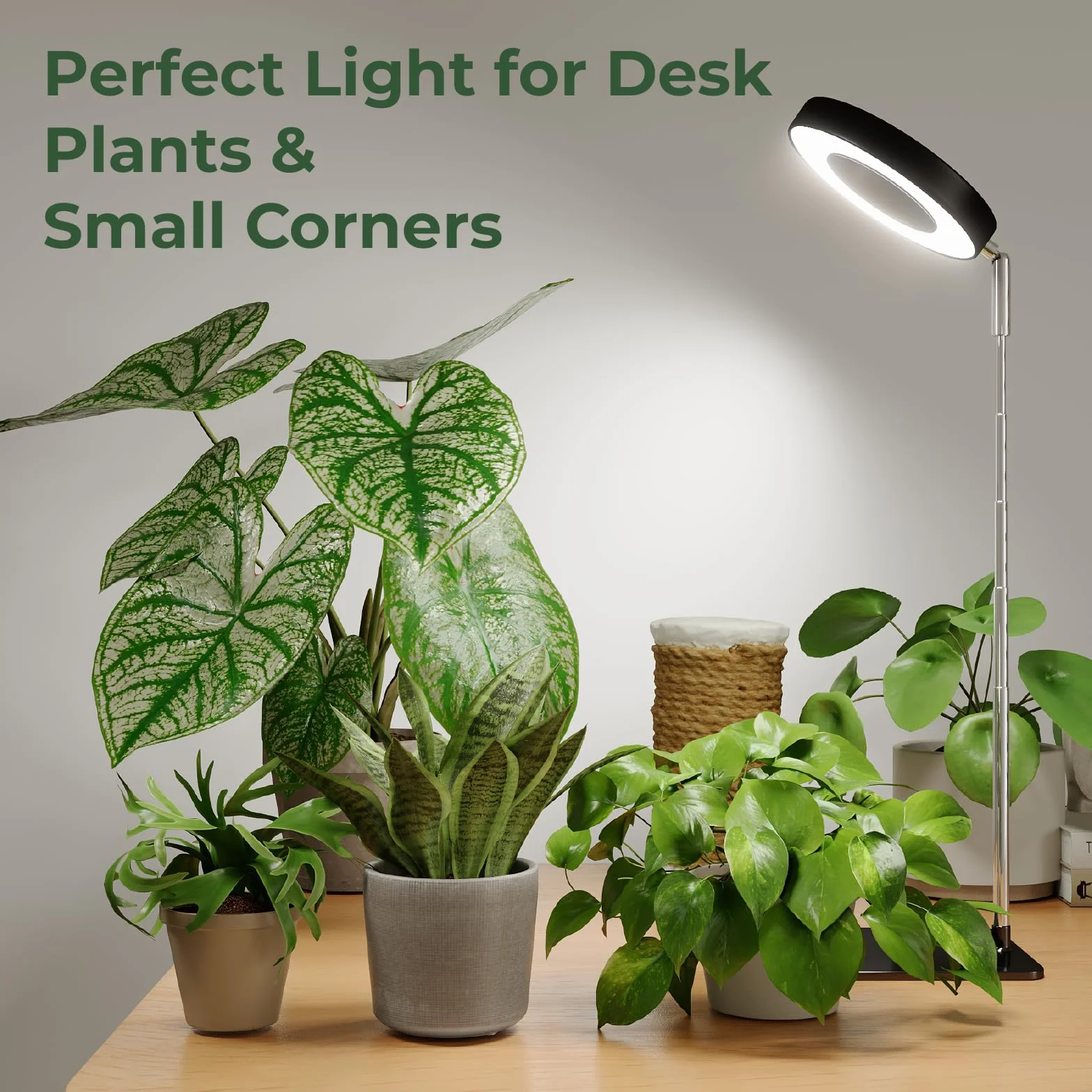 Bamworld Lampa do uprawy roślin LED pełne spektrum 8W regulowana wysokość