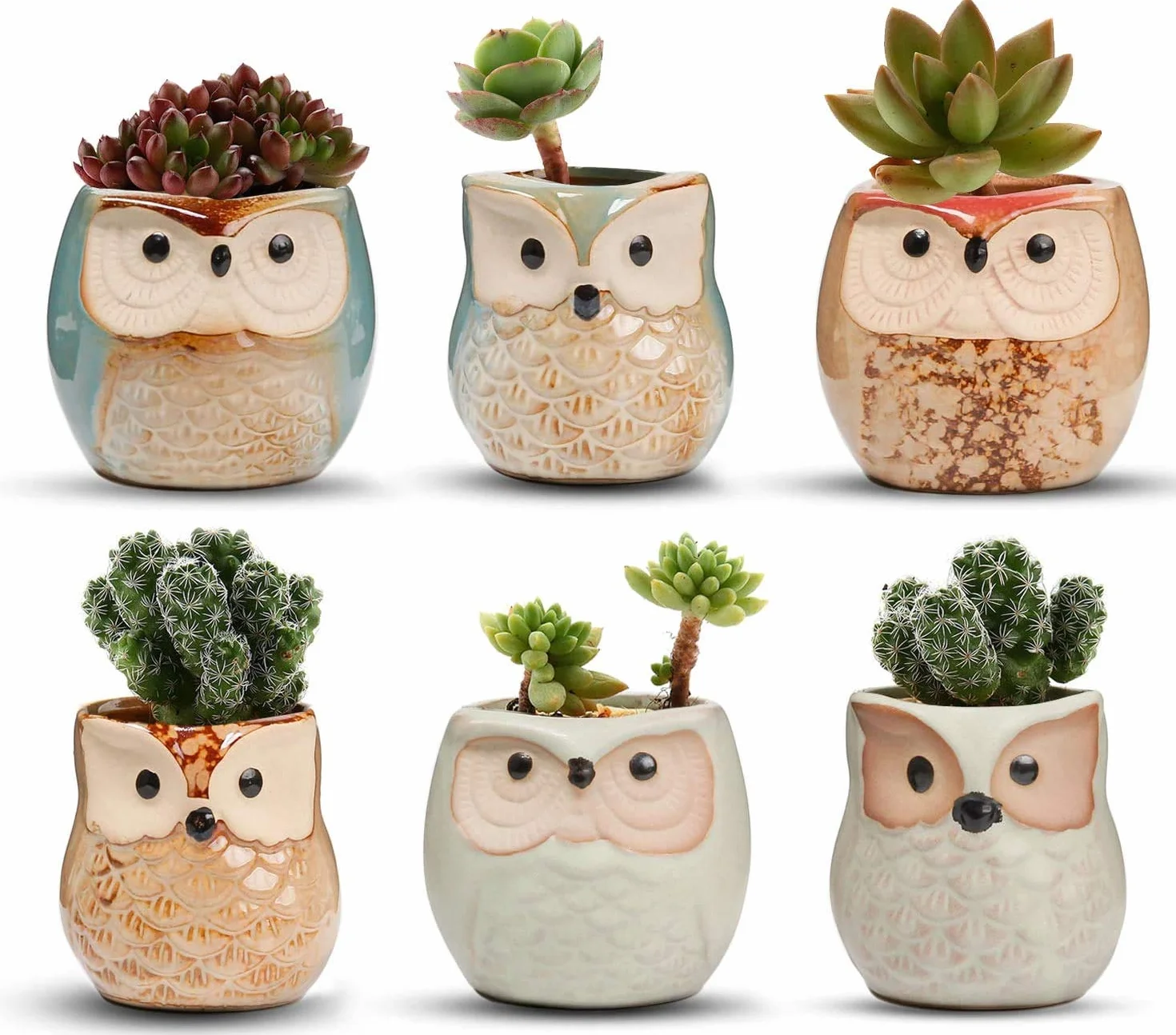 Ceramiczne doniczki z sową 6 szt. na kwiaty kaktus bonsai z otworem