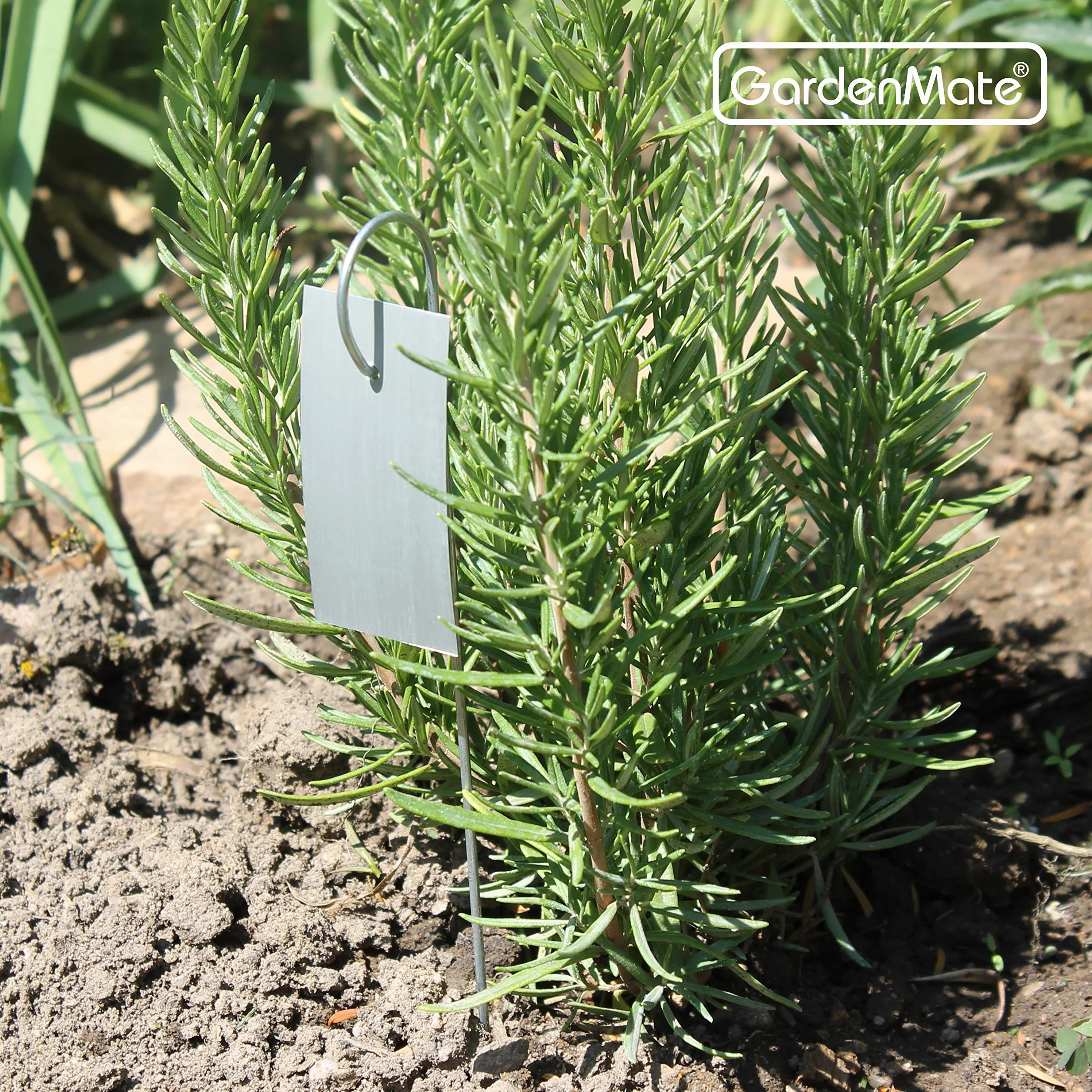 GardenMate Zestaw 25 metalowych etykiet na rośliny odpornych na warunki atmosferyczne 25 cm