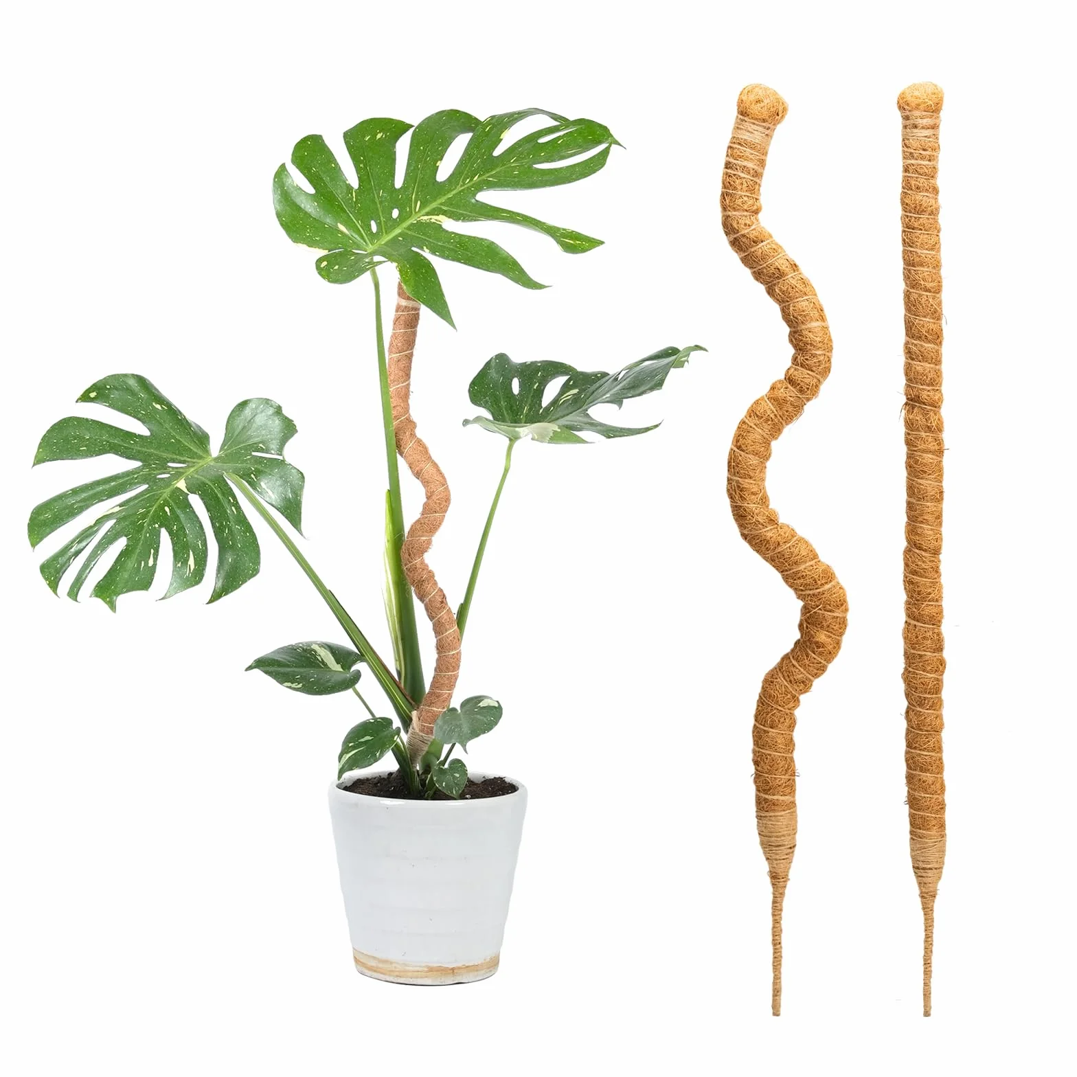 Bamworld Słupek do mchu, 2 szt., 69,8 cm, do podparcia roślin, monstera Coco Coir, wsparcie dla małych roślin pnących doniczkowych do wzrostu w górę