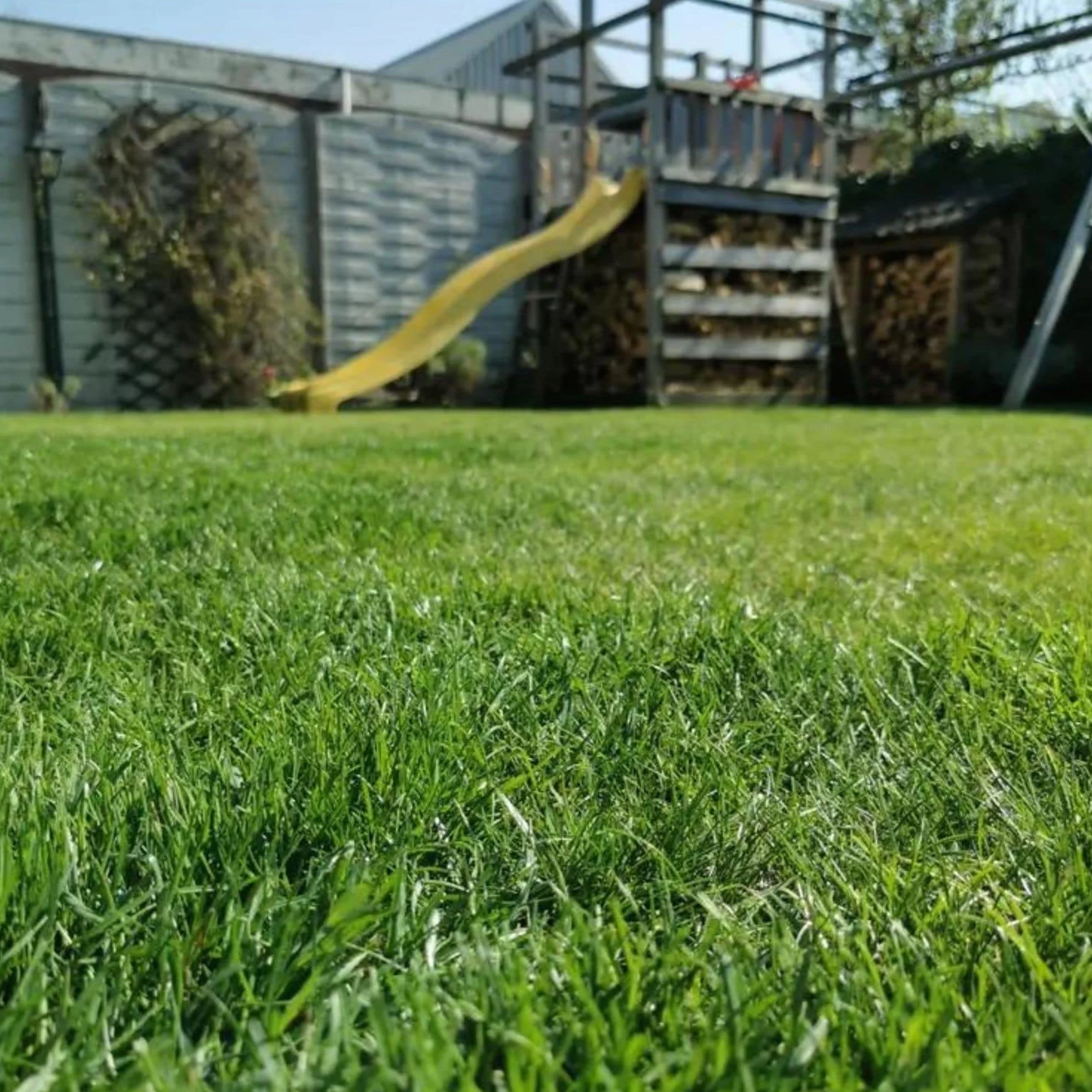 MOOWY Easy Mow Całosezonowy Nawóz do Trawników 250 m² - Kontrolowane Uwalnianie 3 Miesiące