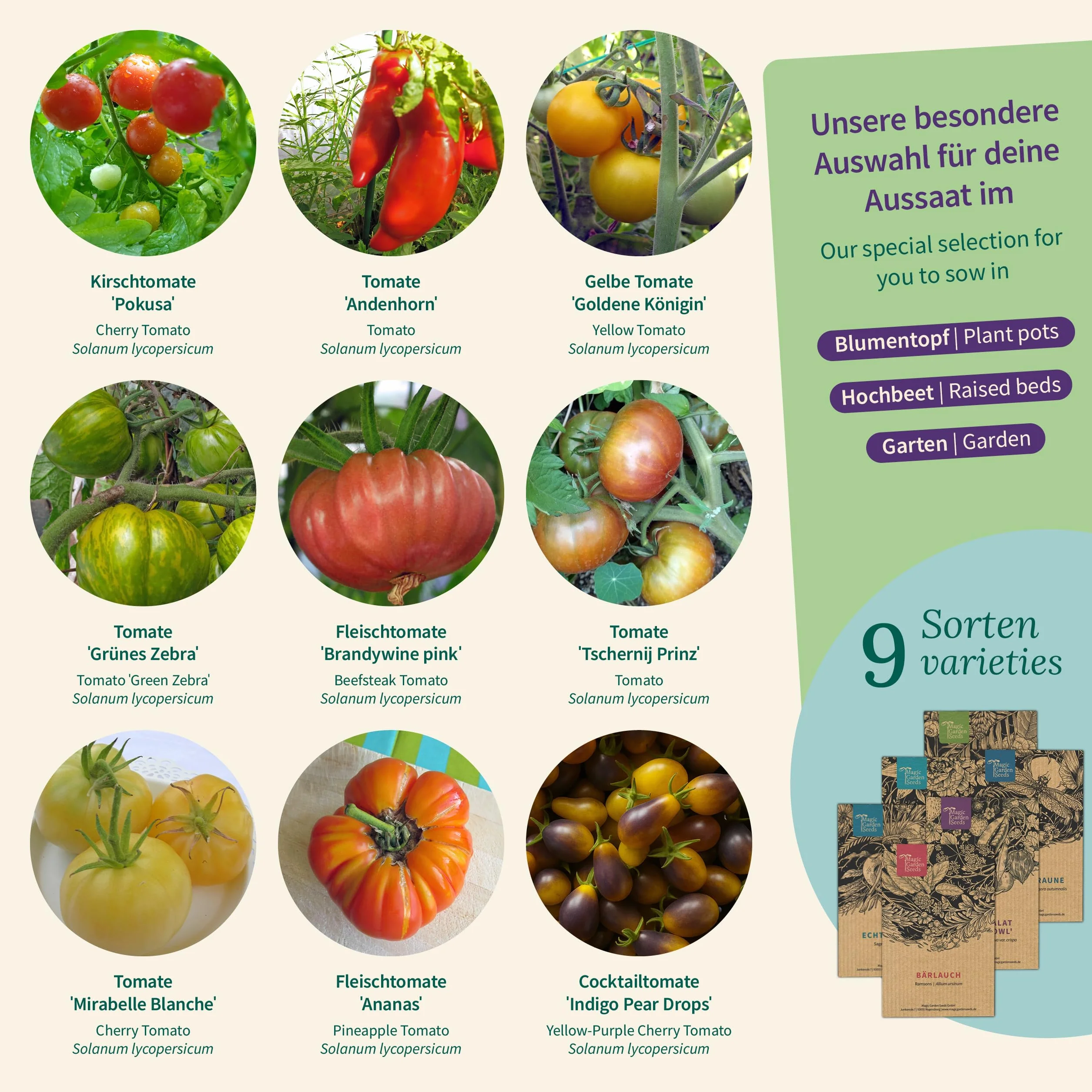 Magic Garden Seeds - Kolorowa skrzynka nasion pomidorów z 9 odmianami - pomidory koktajlowe, mięsiste i sałatowe w kolorze żółtym, czerwonym, fioletowym - zestaw nasion pomidorów odpornych na nasiona