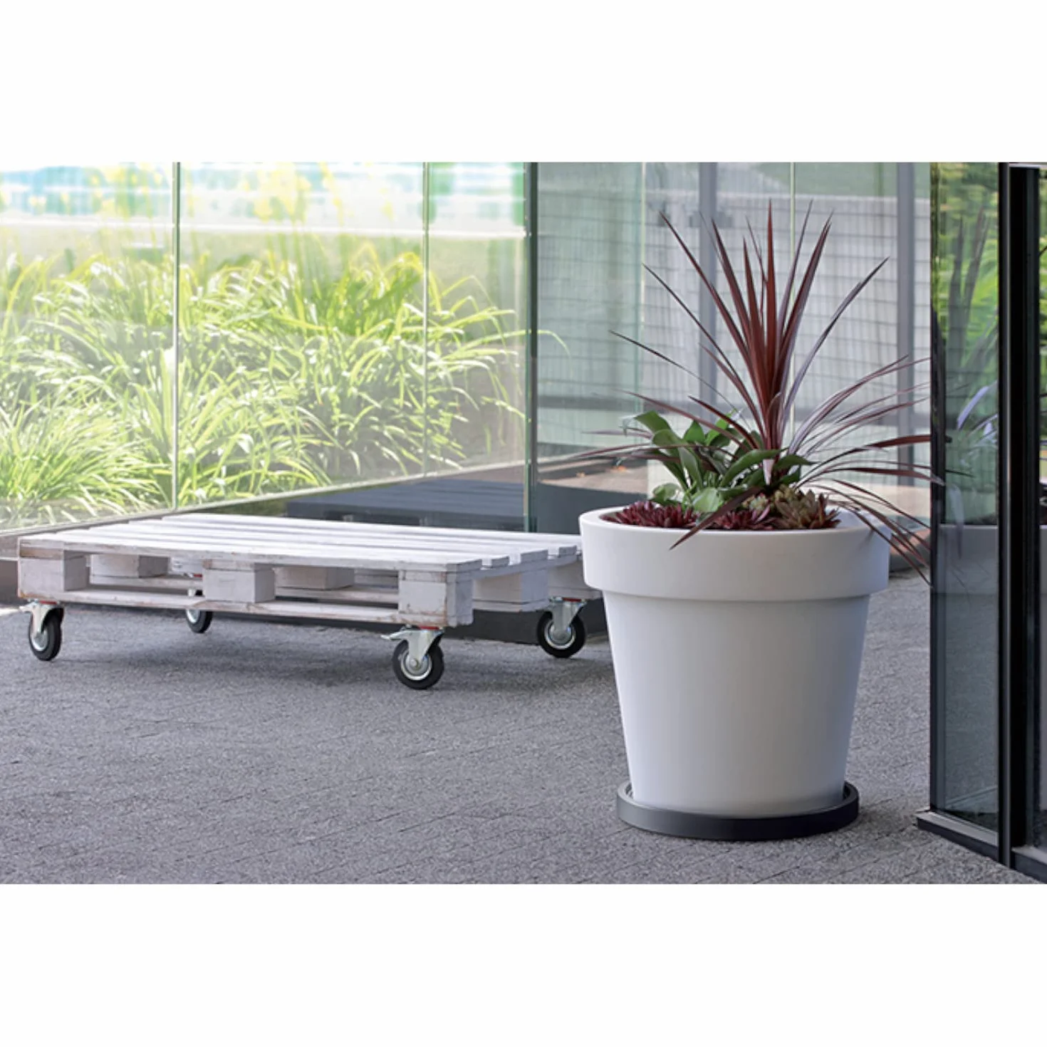 Prosperplast IPRR450-S433 Mobilna Podstawka pod Doniczkę 44,6 cm Okrągła na Kółkach