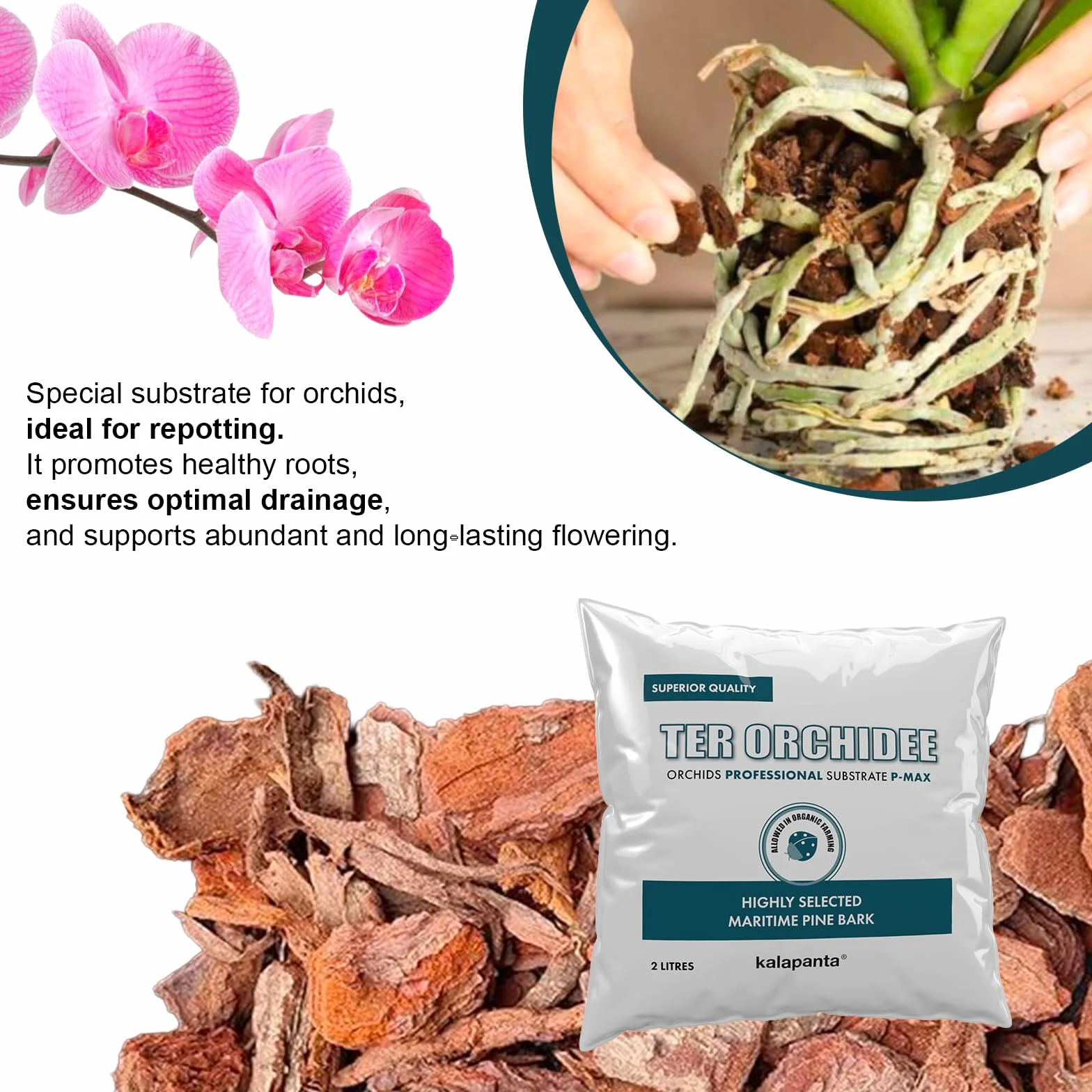 Kalapanta - Profesjonalna ziemia doniczkowa do storczyków Organiczna kora, 100% naturalna, morska kora sosnowa i torf blond