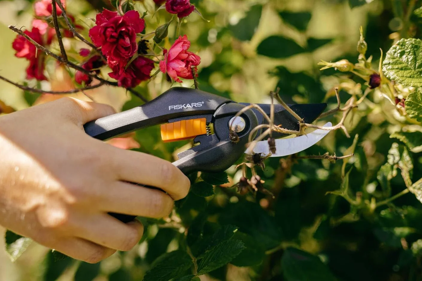 Fiskars Singlestep Sekator Ogrodniczy 20 cm Czarny