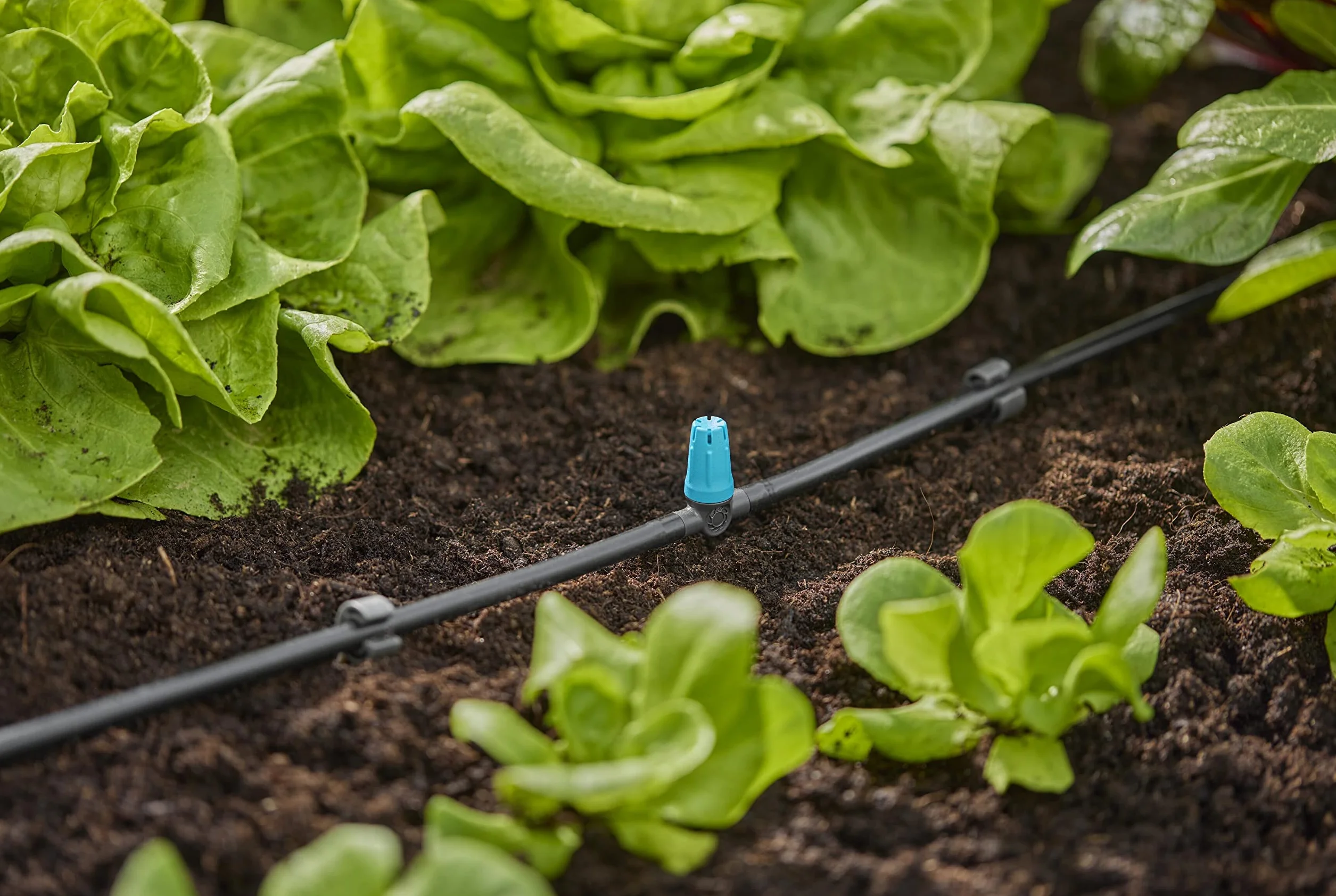 Gardena system Micro-Drip dysza małopowierzchniowa rozpylająca do nawadniania małych powierzchni 40 cm, 4,6 mm (13316-20)