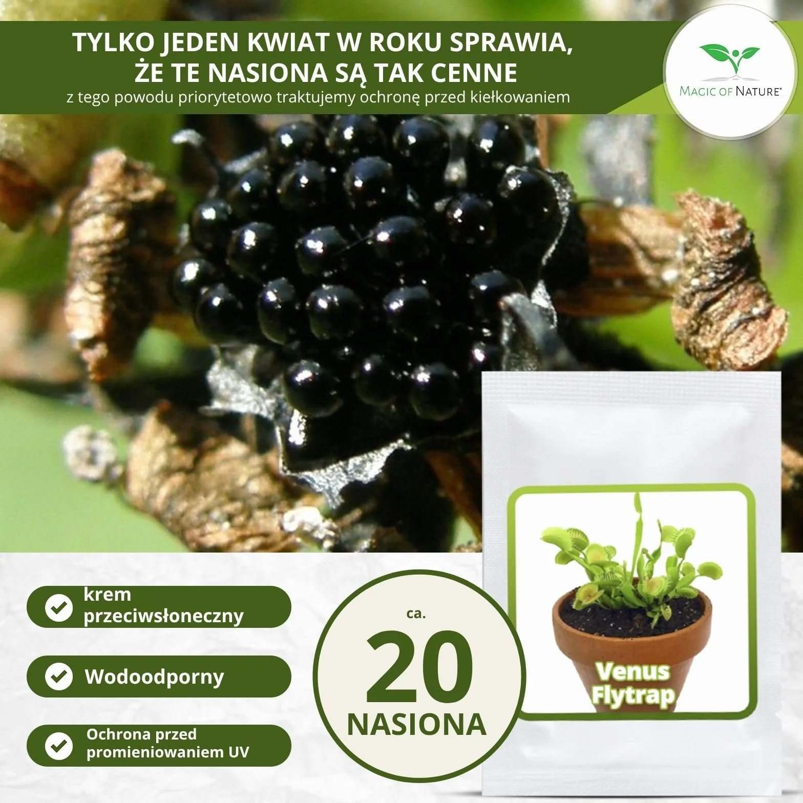 Dionaea muscipula Muchołówka amerykańska nasiona ok. 20 szt. Roślina owadożerna doniczkowa