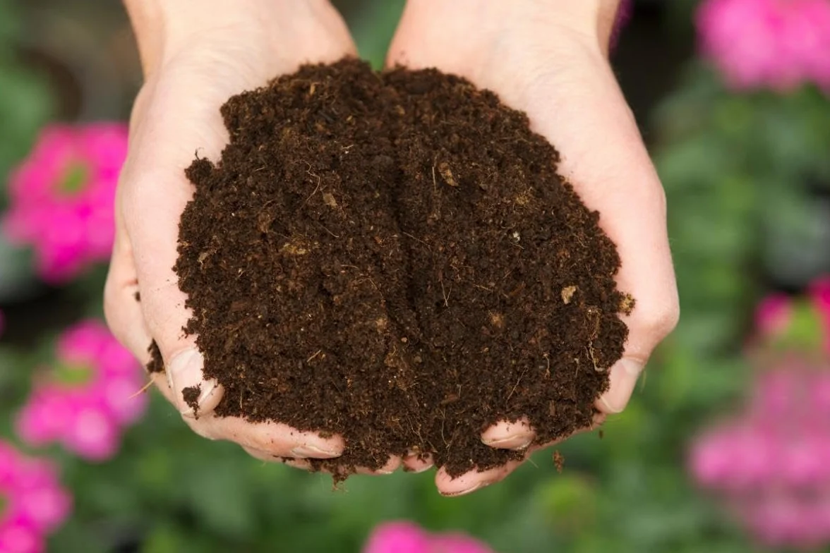 BIOVITA Podłoga uniwersalna 10 l ziemia do roślin naturalne pochodzenia