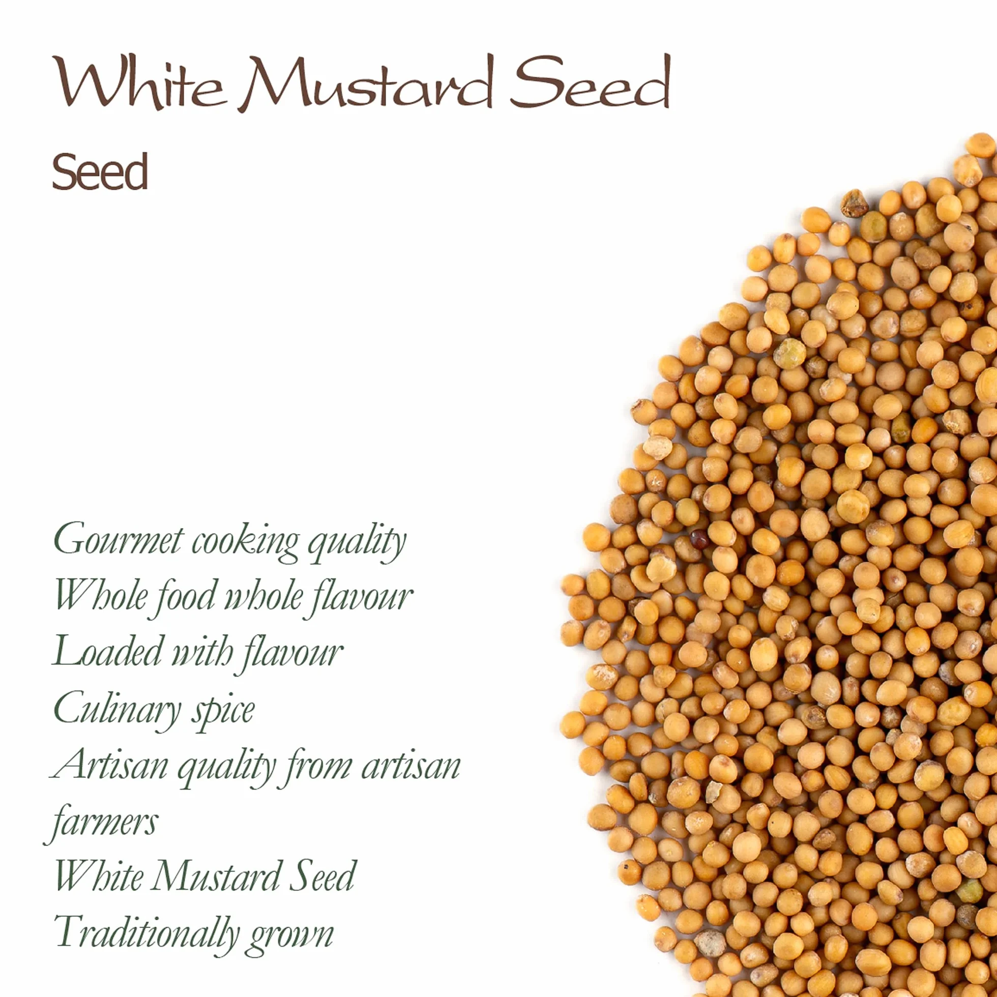 Yellow Mustard Seeds Whole - White Mustard Seed Spicy Ingredient