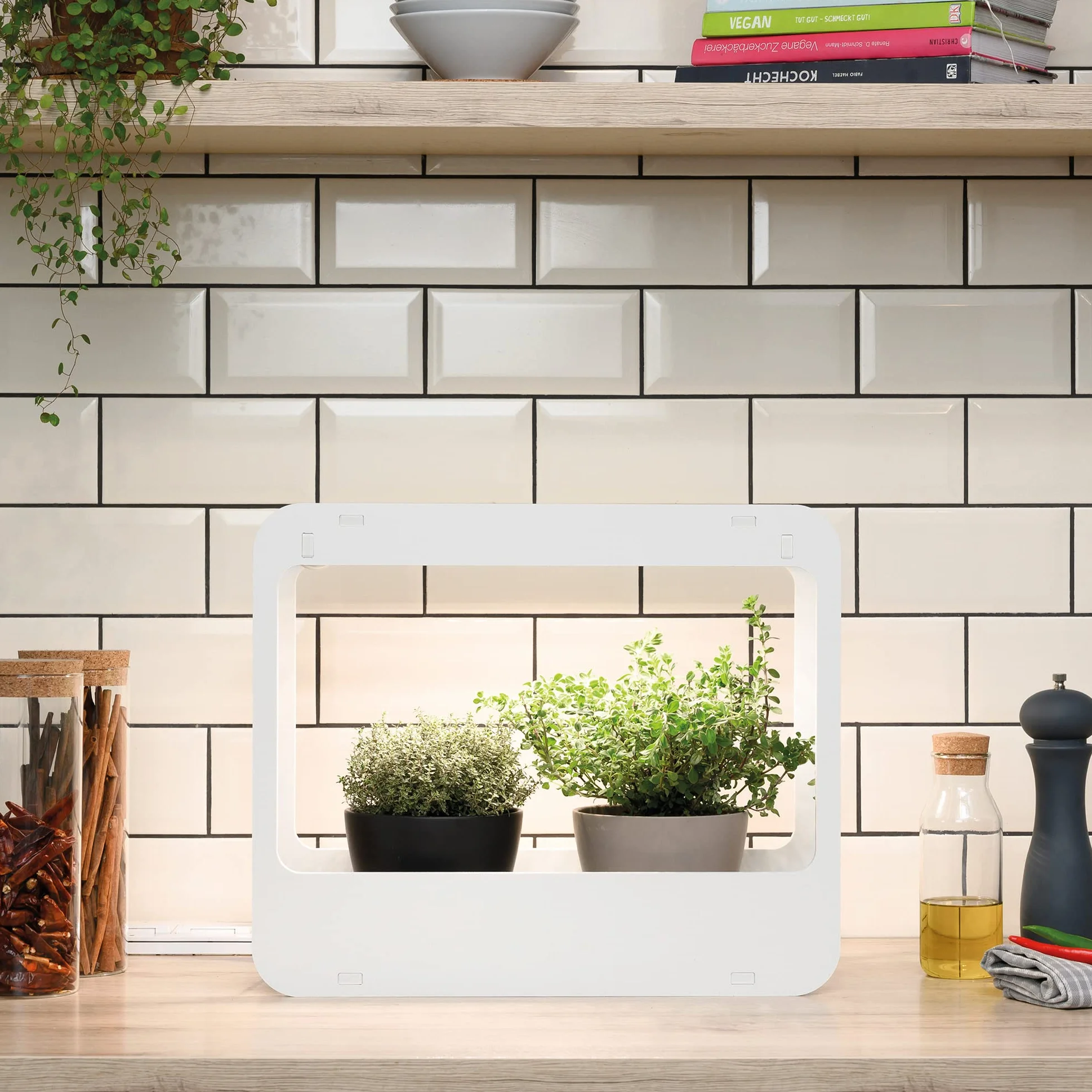 Romberg Homegarden mini szklarnia pokojowa z oświetleniem LED biała 50,5 x 21 x 40 cm
