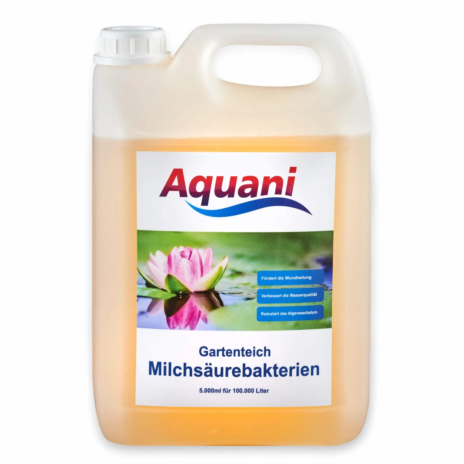 Bakterie kwasu mlekowego probiotyczne filtrujące do stawów 5500 ml