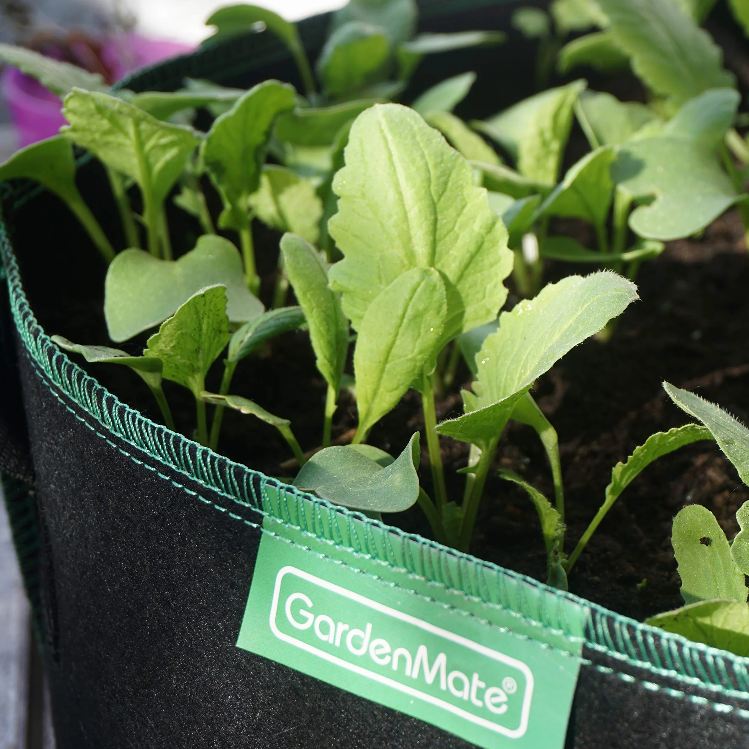 GardenMate BLACKLINE worek do roślin 20 l z włókniny Ø 31 cm wysokość 26 cm
