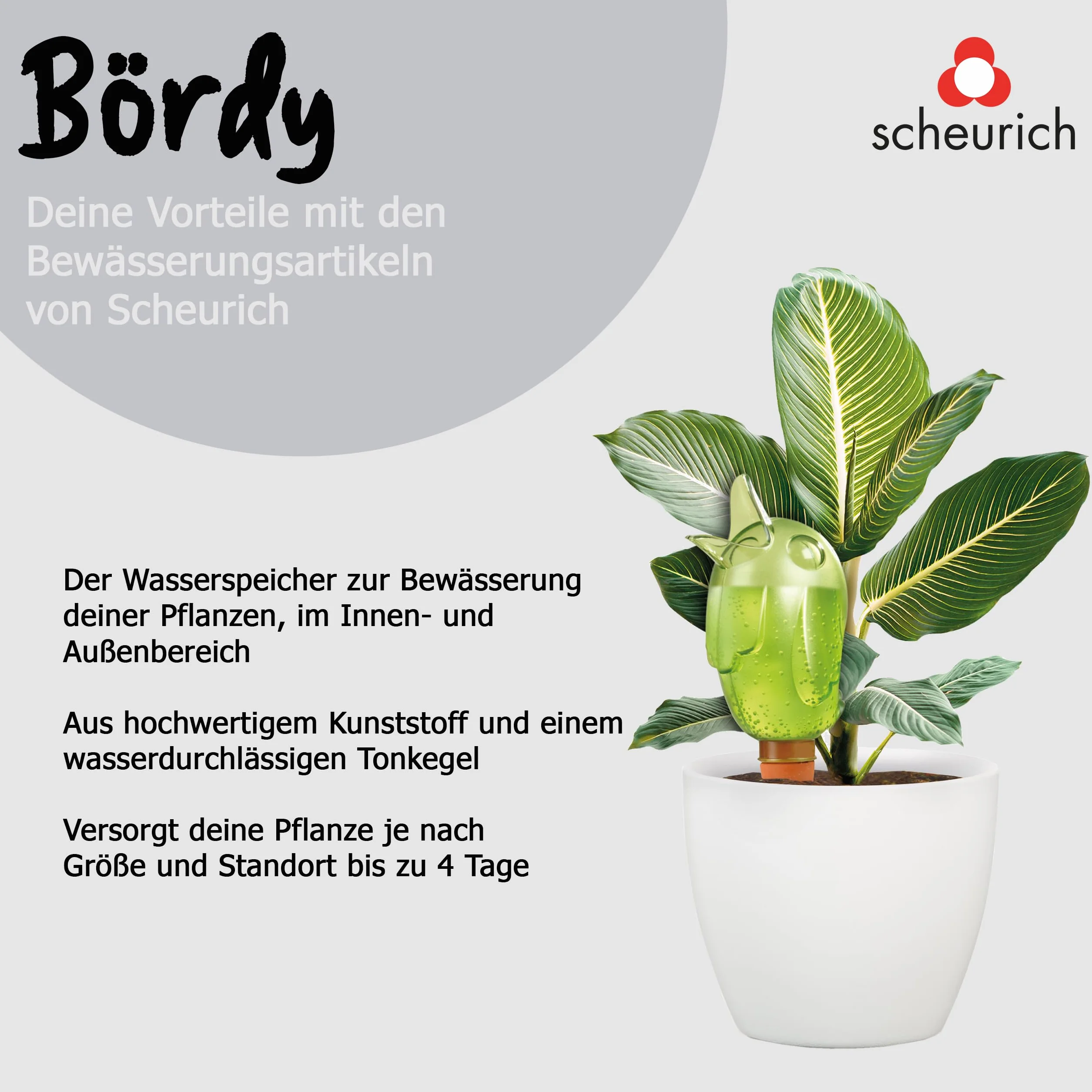 Scheurich Bördy XL Nawilżacz Glebowy 220 ml 22 cm Zielony