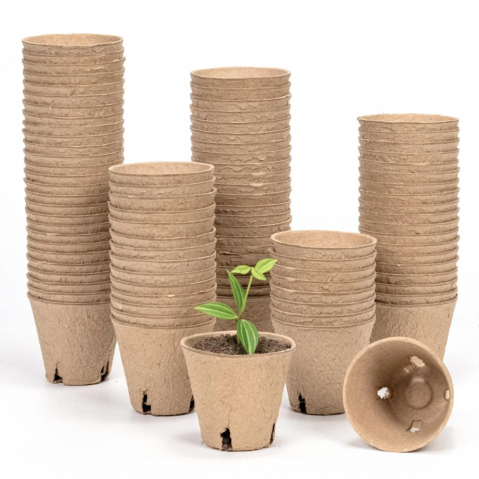 Bamworld 100 Szt. Biodegradowalne Doniczki Szkółkarskie 8cm z Drenażem