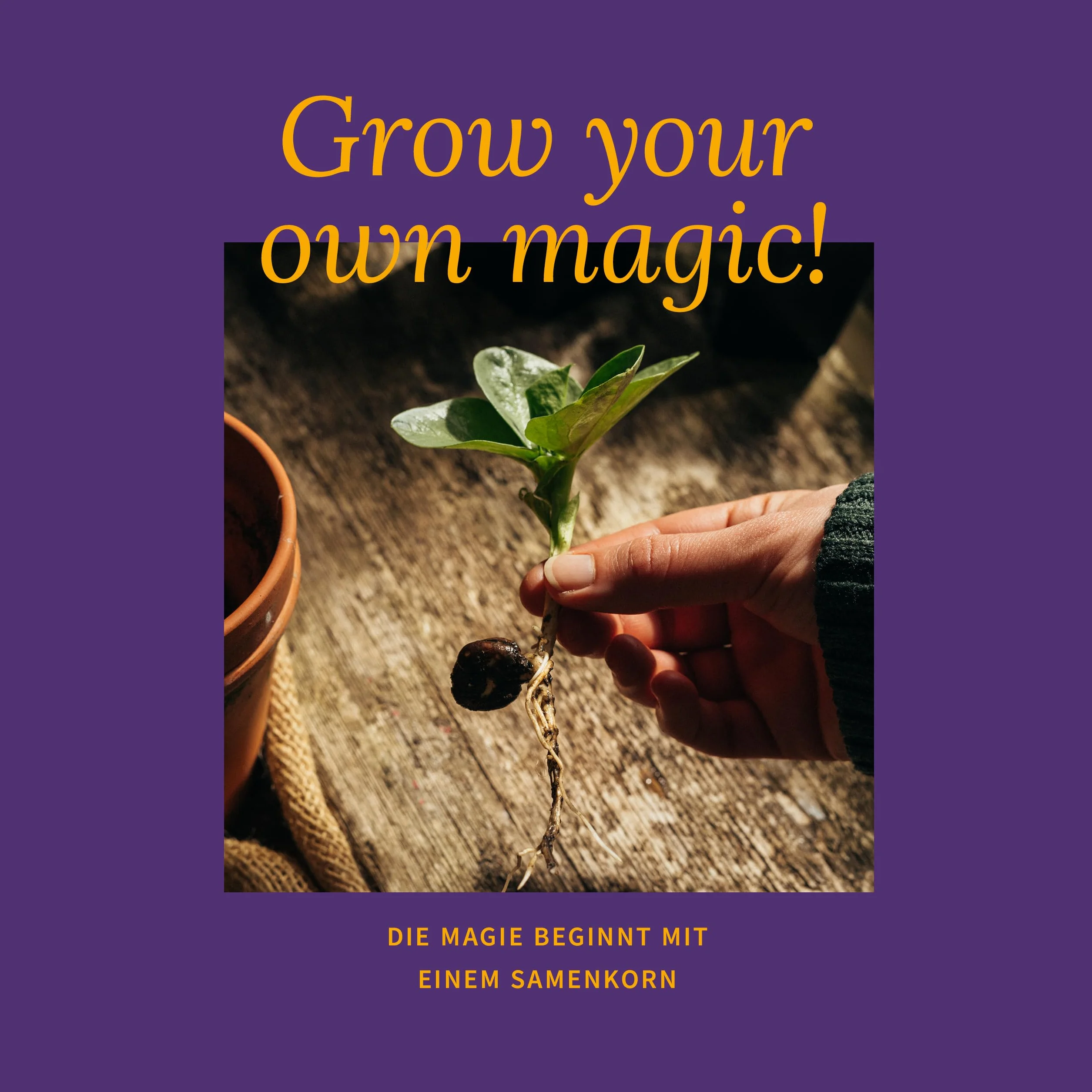 Magic Garden Seeds Zestaw nasion ogórków 6 odmian: ogórki konserwowe, sałatowe, koperek, cebula