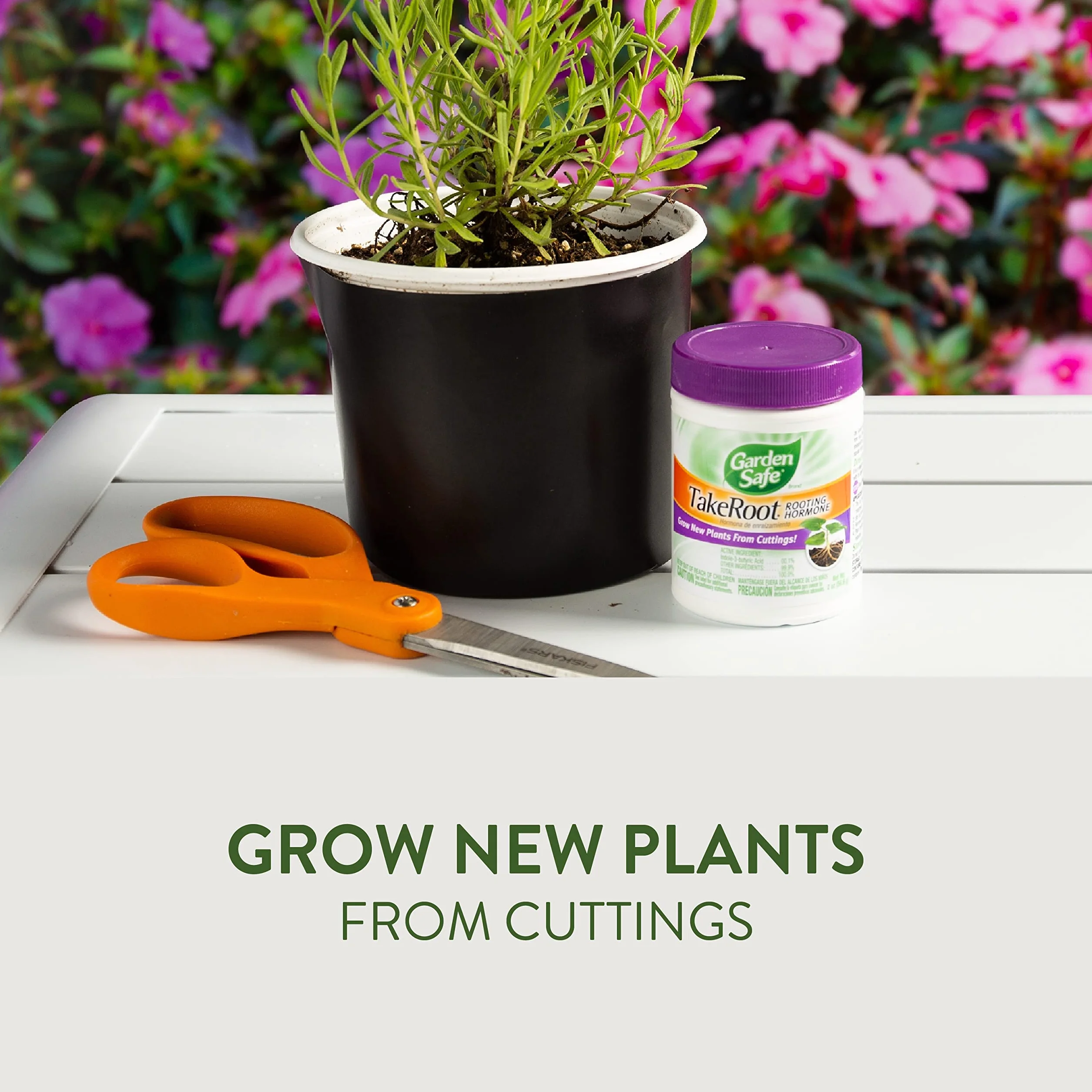 Garden Safe Hormon Ukorzenienia 59 g