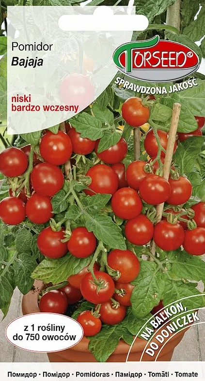 Bajaja nasiona pomidorów koktajlowych Solanum lycopersicum 100 nasion słodkie 8-10 g