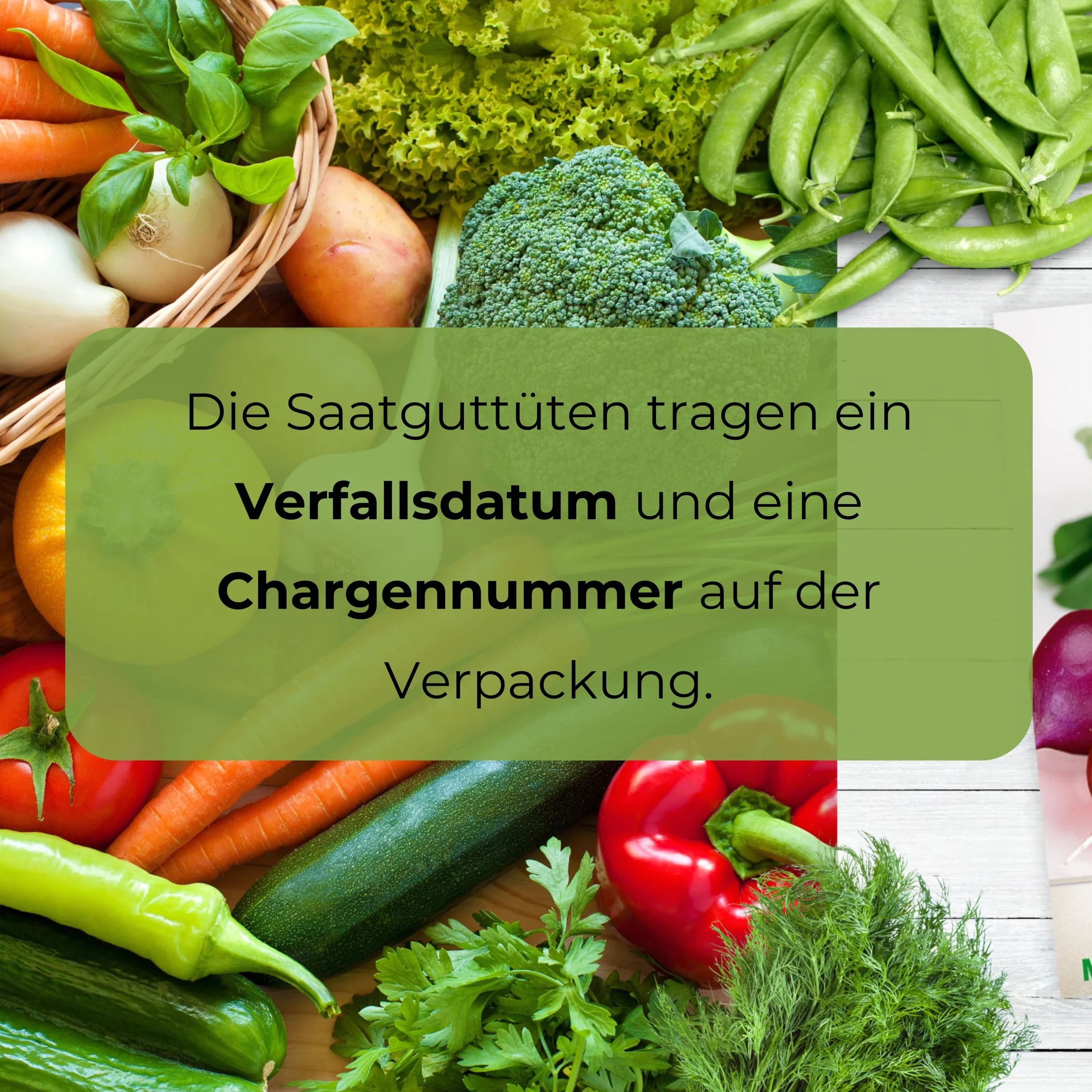 Rzodkiewka mieszanka odmian 10g - WegAna