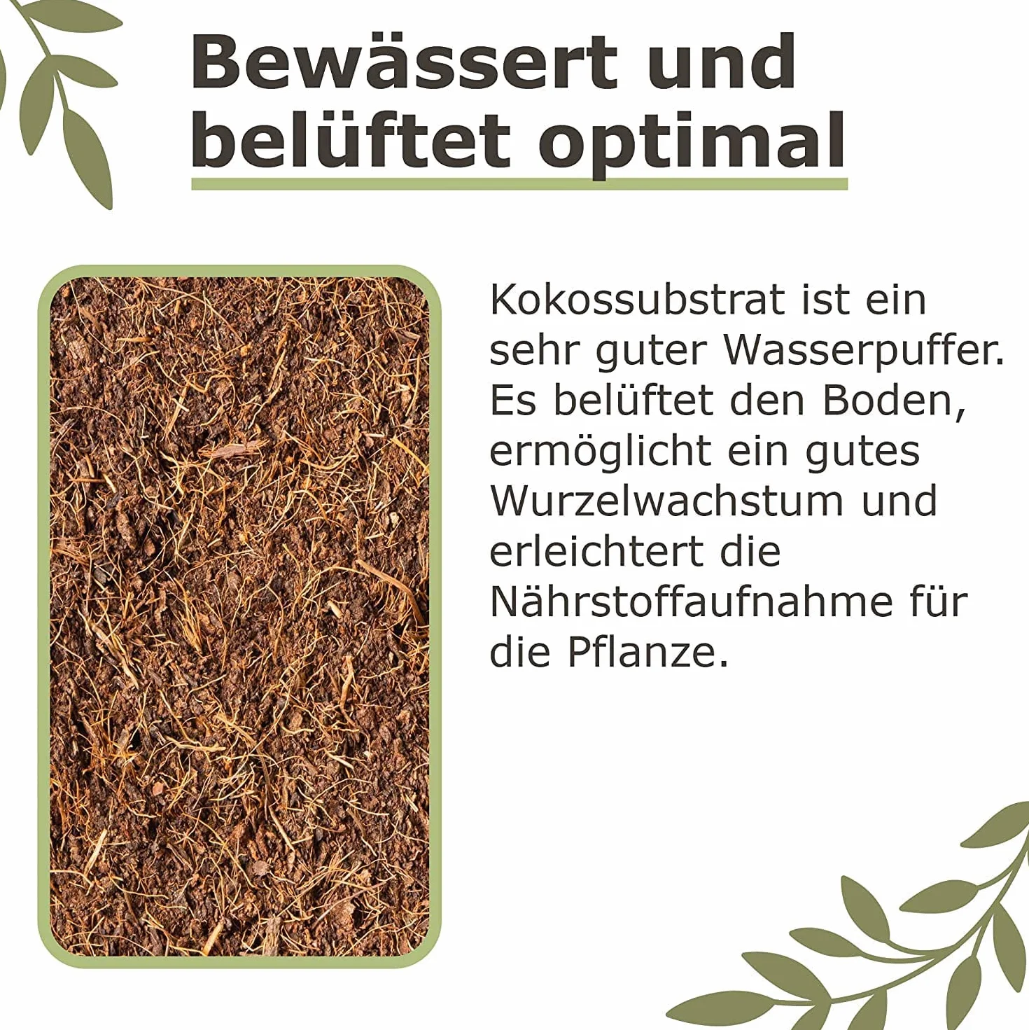 Ziemia kokosowa 18L 2x650g naturalna bez torfu do kwiatów palm roślin pokojowych