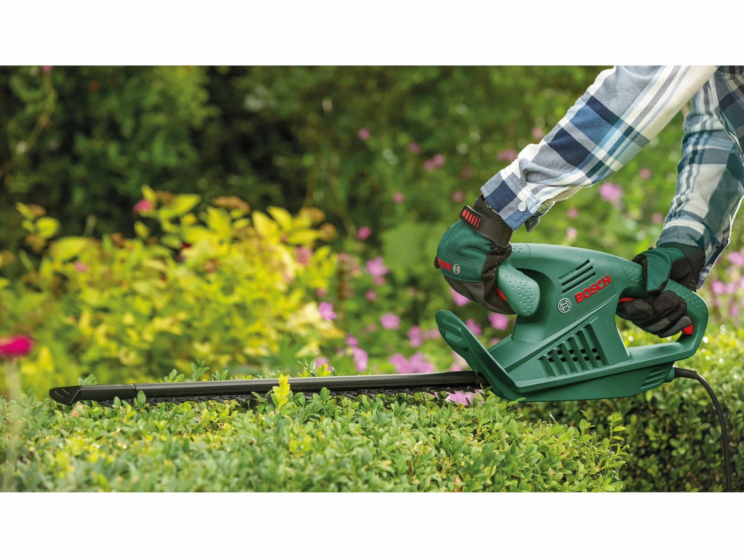 Sieciowy sekator EasyHedgeCut 45 firmy Bosch (420 W, długość listwy tnącej 45 cm, opakowanie kartonowe)