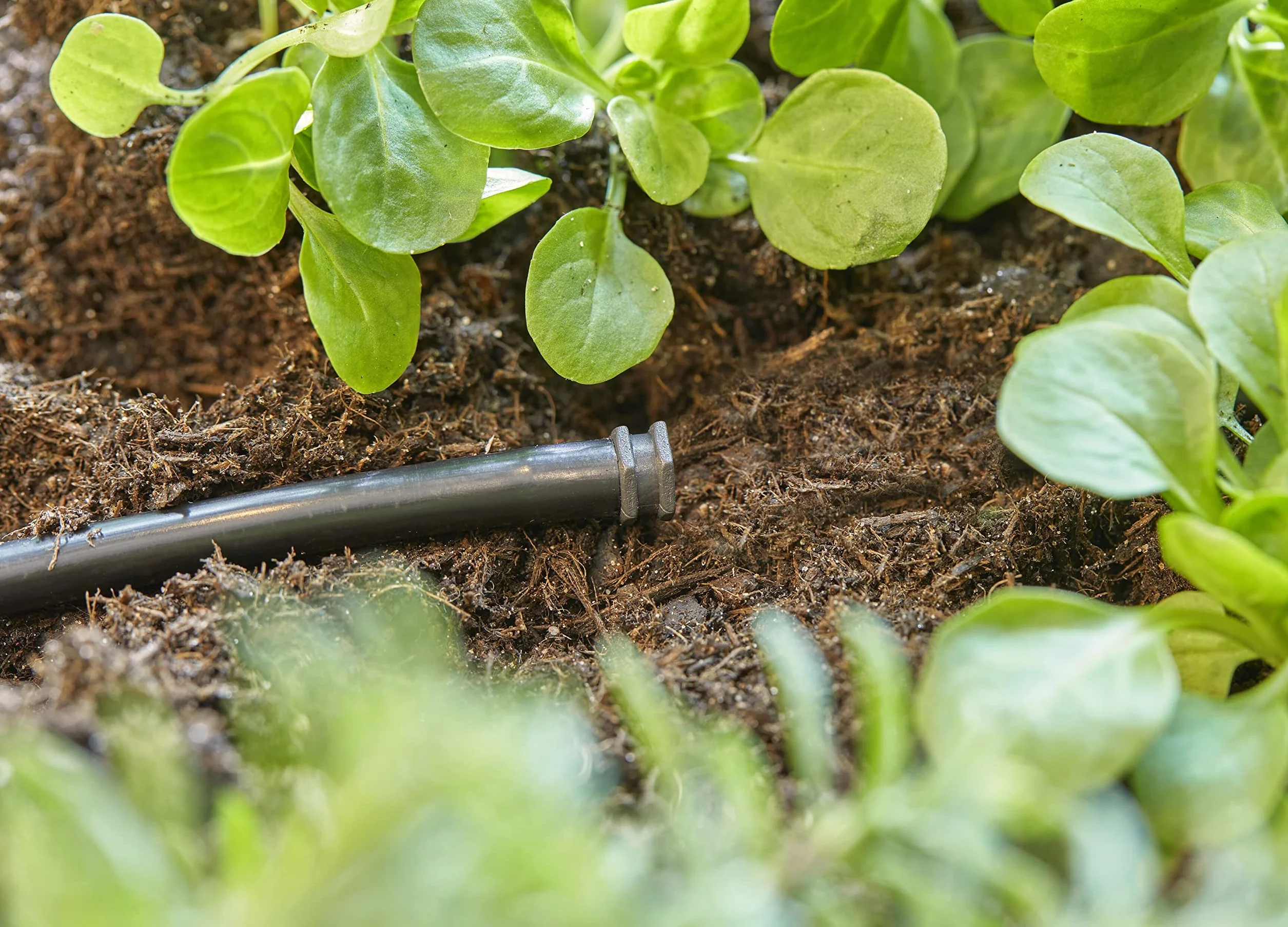 Gardena System Micro-Drip zatyczka zamykająca 4,6 mm (3/16 cala) akcesoria Easy & Flexible 13215-20