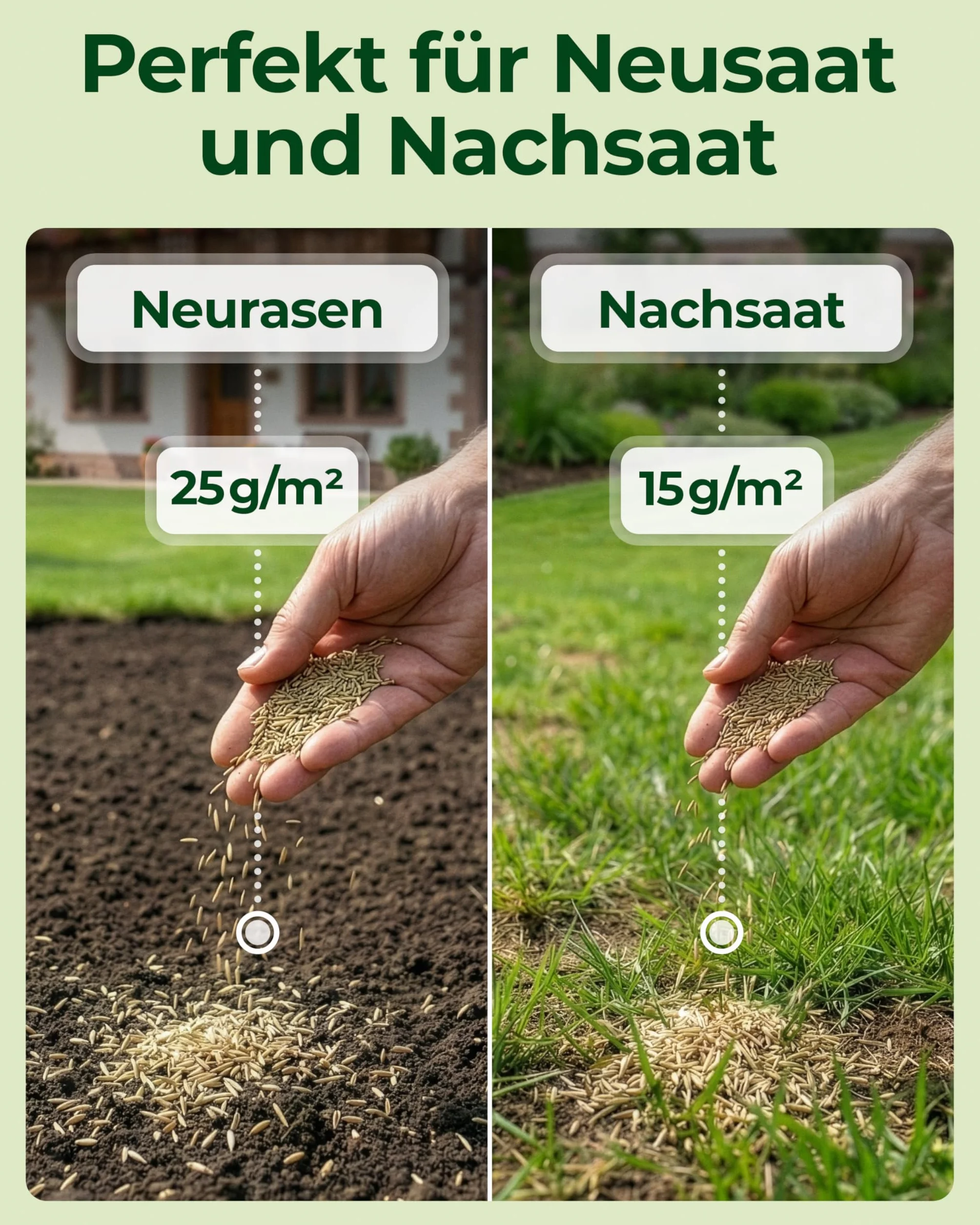 Nasiona trawy Premium 5 kg 200 m² Szybko rosnący Made in Germany