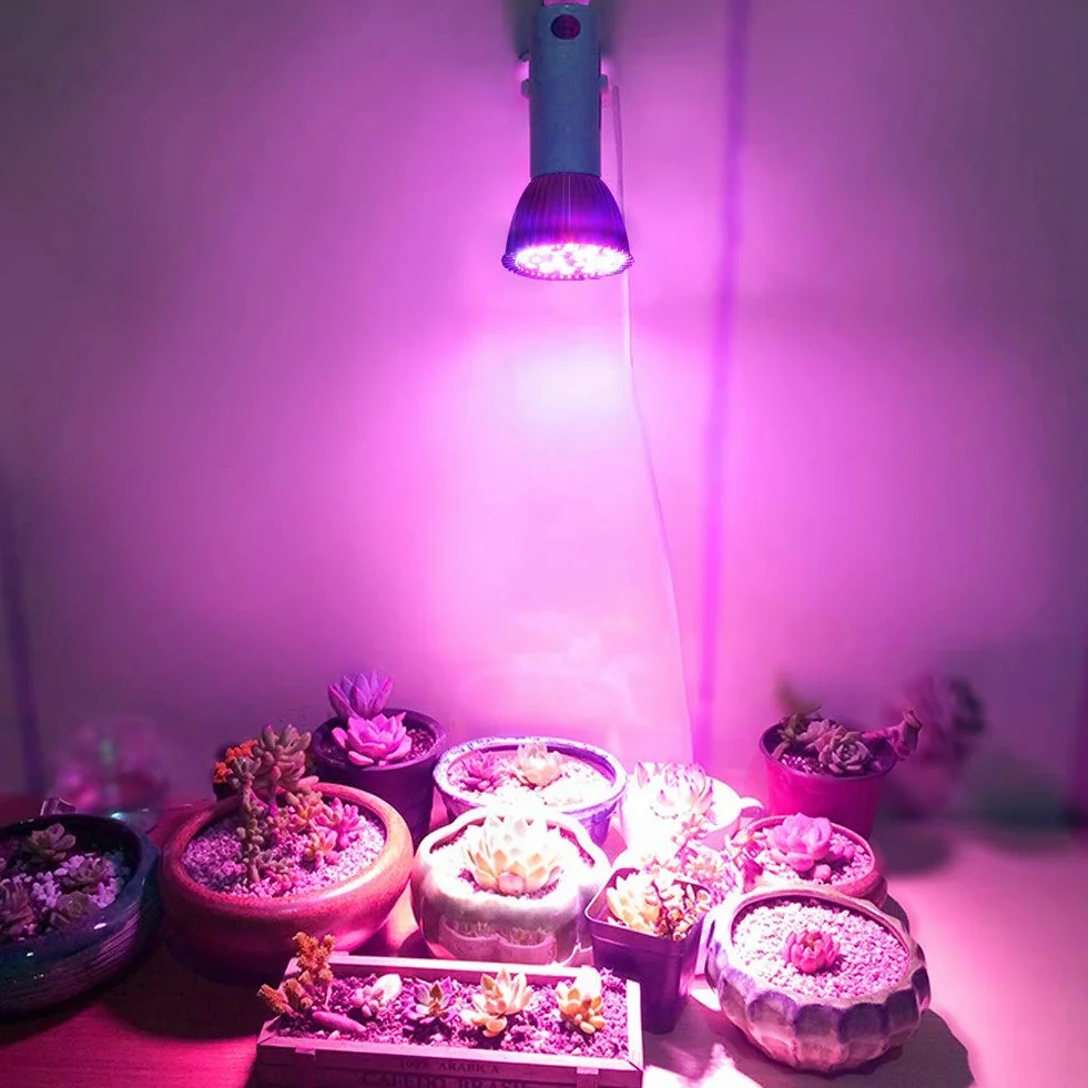 Żarówka LED do uprawy 5W E27 Pełne spektrum Szklarnia Hydroponiczna