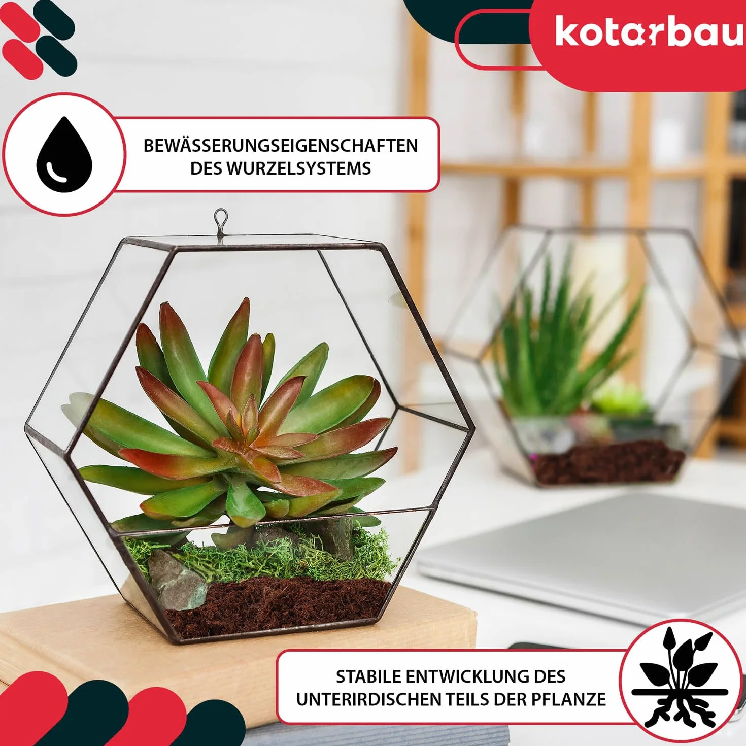 KOTARBAU® Naturalna Ziemia Kokosowa 650 g 7 l do Roślin i Terrariów