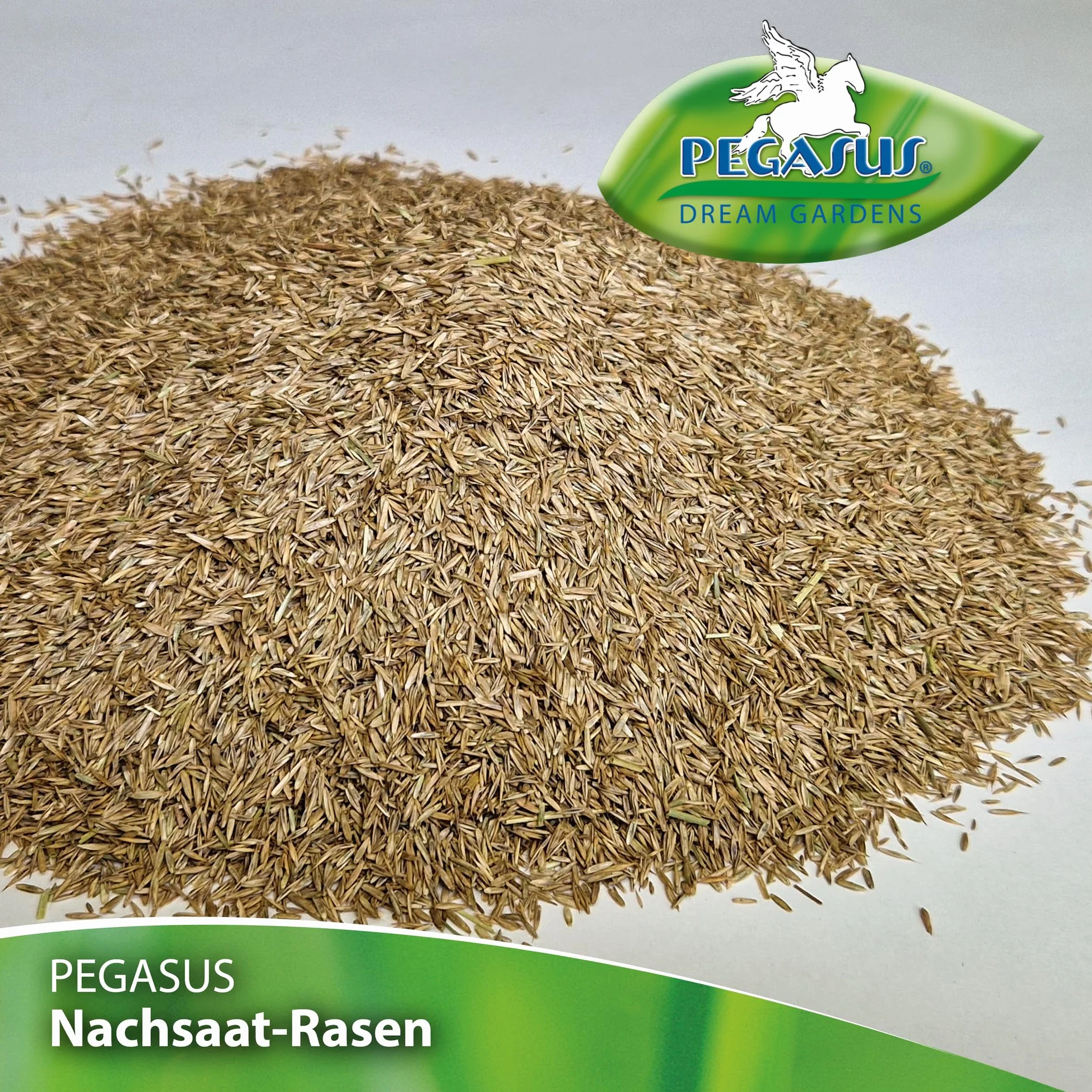 Pegasus Nasiona trawnika, 1 kg, 25 m², 622258 – turbo dosiew trawnika, mieszanka naprawcza, szybko kiełkujący, gęsty wzrost