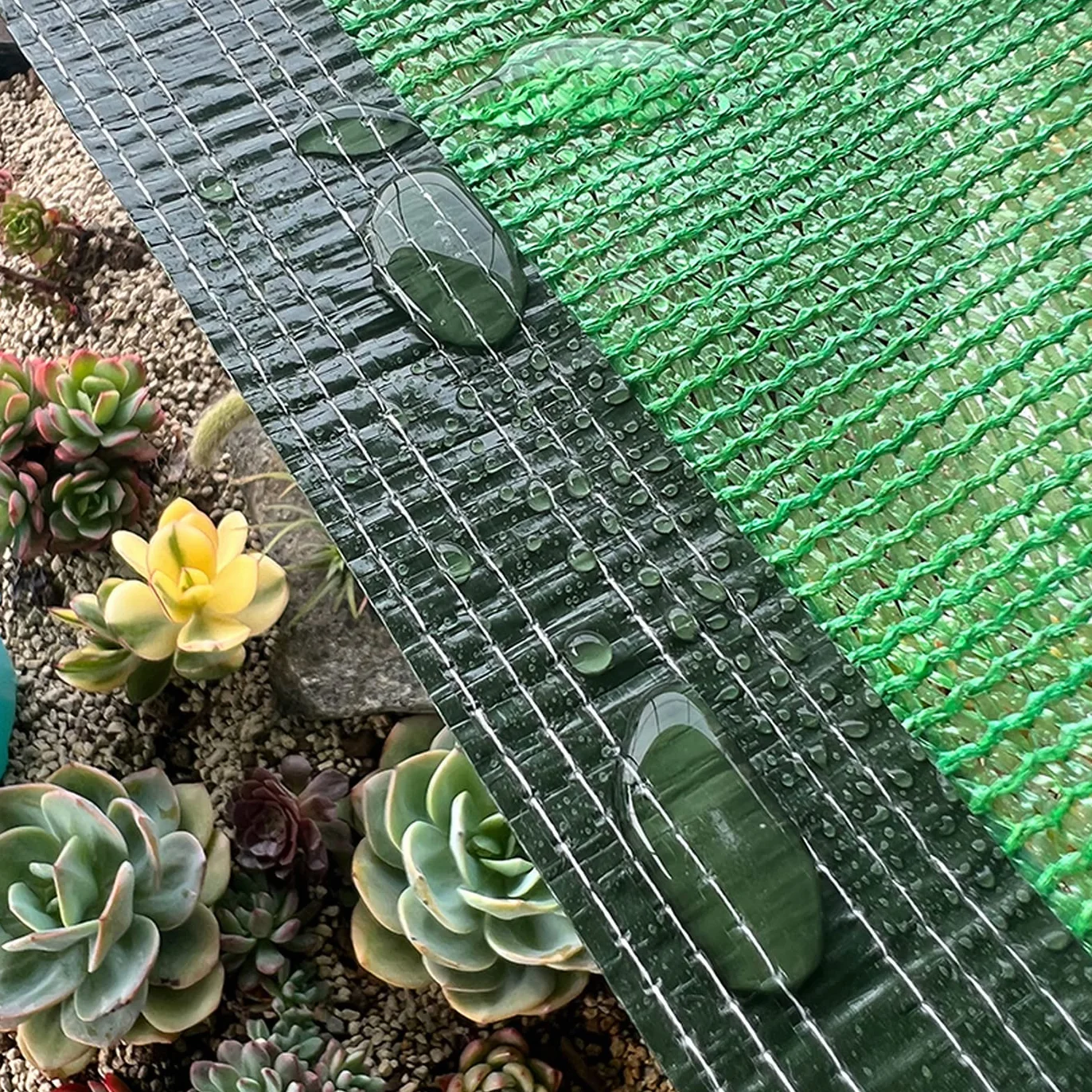 Siatka zacieniająca HDPE 50% UV 3x6m z przelotkami zielona