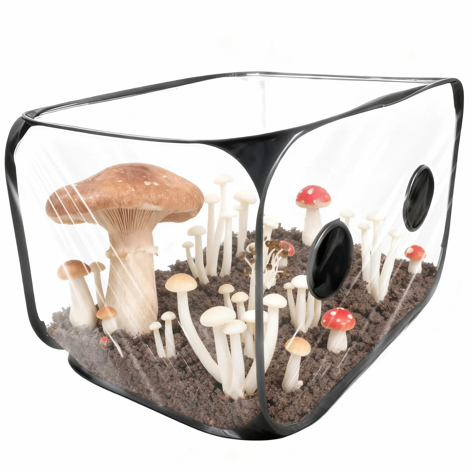 Namiot do hodowli grzybów składany Still Air Box 90 x 60 x 60 cm wodoodporny