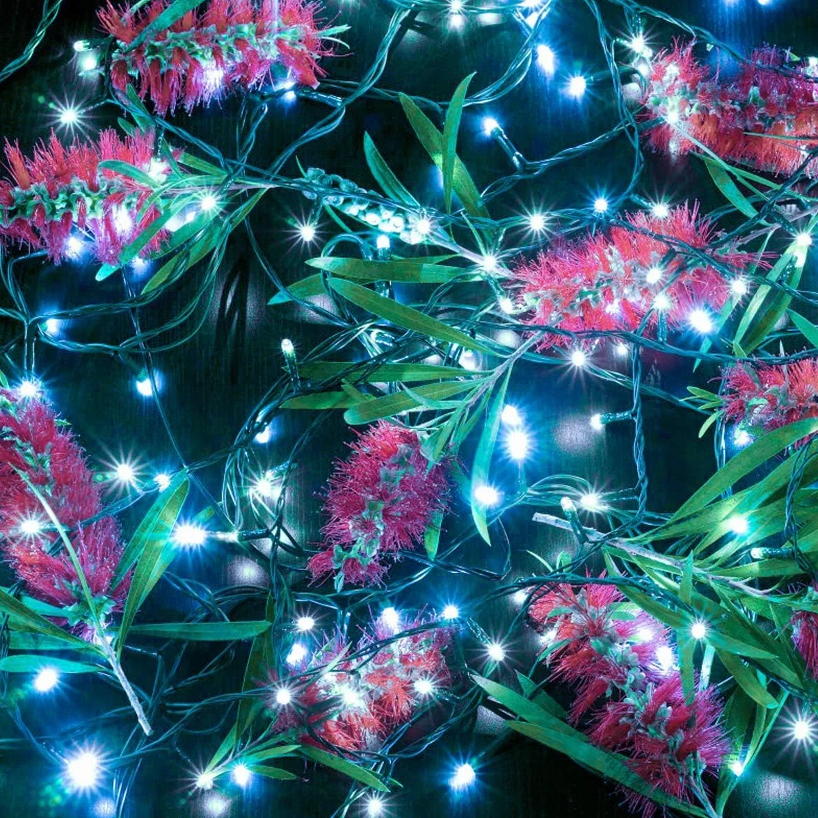 Łańcuch świetlny bożonarodzeniowy, 50M 1000Led 8 trybów świecenia, do użytku wewnątrz i na zewnątrz (white1000led)