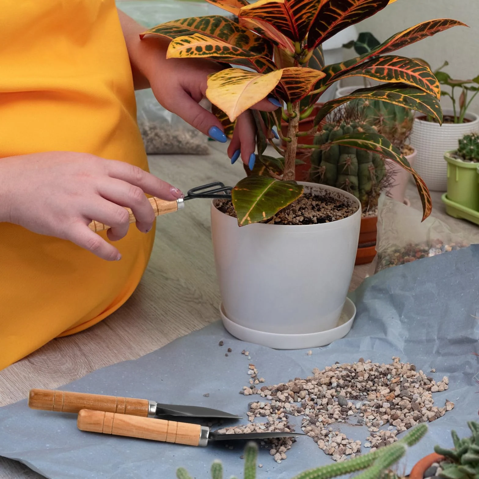 Nivofu 6-częściowy mini zestaw narzędzi ogrodniczych, do przesadzania sukulentów, do ogrodnictwa, do sadzenia alpejskiego, bonsai, roślin, kwiatów doniczkowych