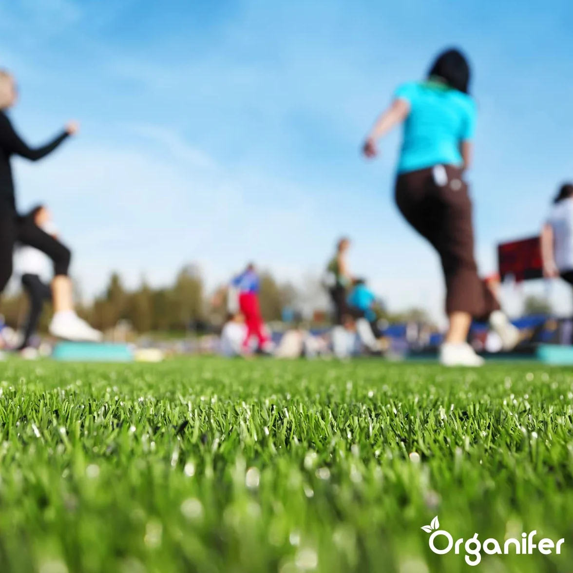 Nawóz Jesienny Do Trawników 20 kg 400 m2 Bogaty W Potas Organifer