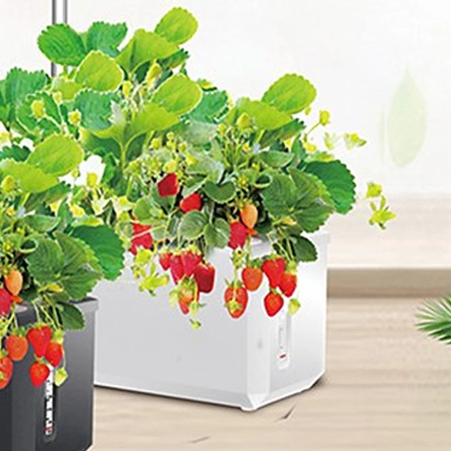 Hydroponika Maszyna do Uprawy LED 100-240V ABS Automatyczna Regulacja Biały