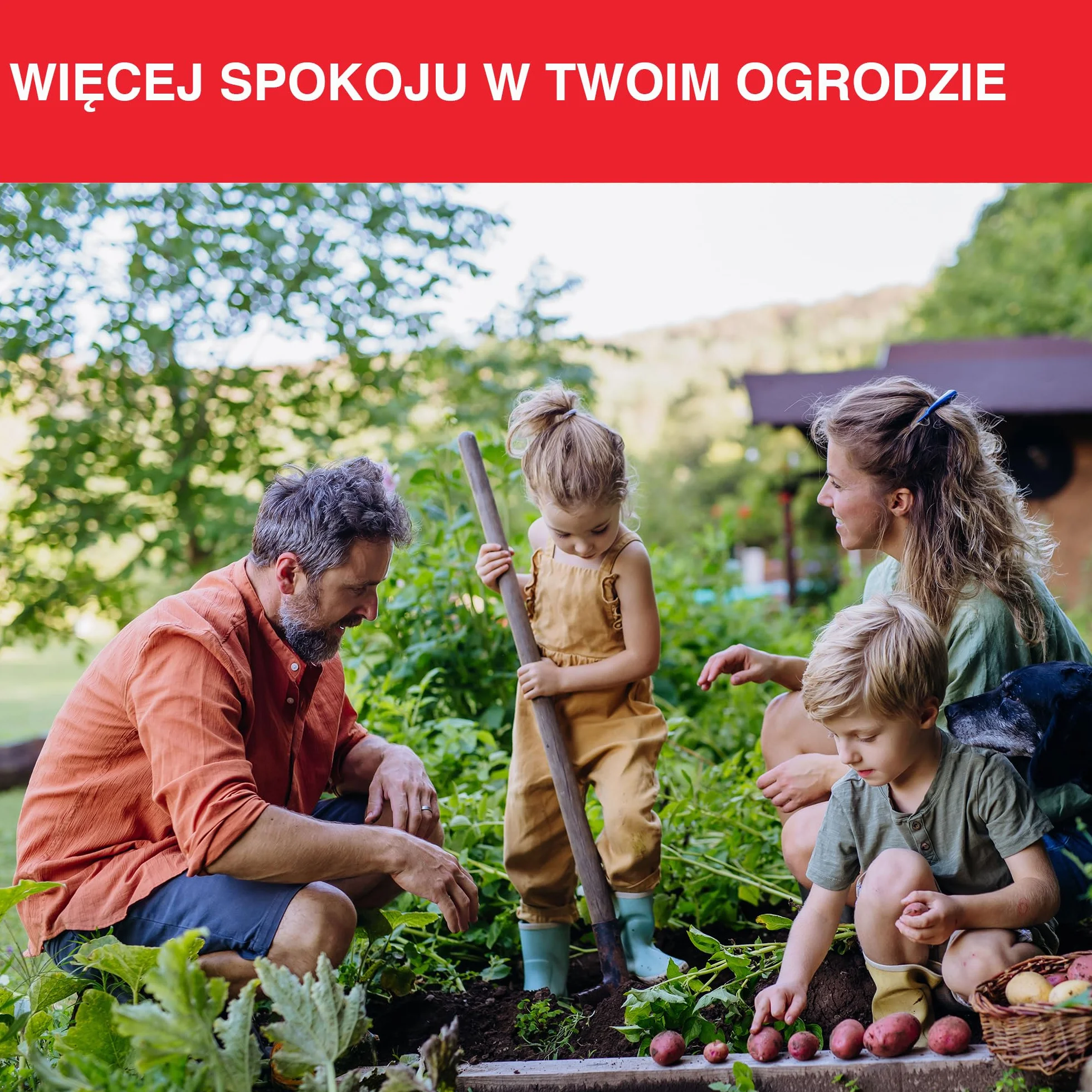 SWISSINNO Pułapka na Nornice PRO SuperCat – Tunelowa Zatrzaskowa, Wielokrotnego Użytku, 1 Sztuka