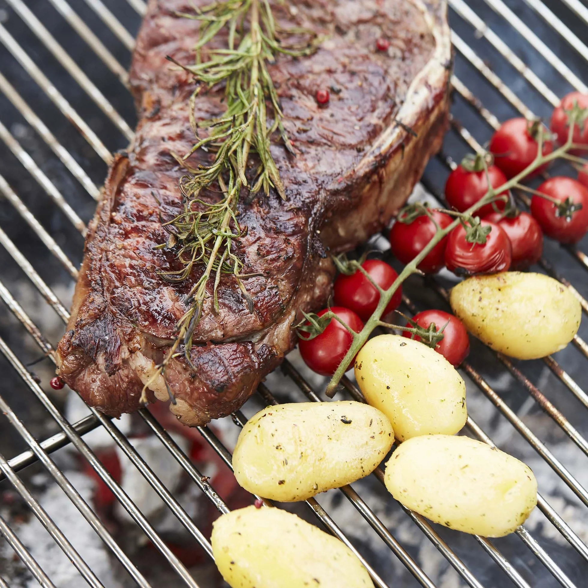 Barbecook Ruszt do grillowania chromowany prostokątny stal szlachetna 58,5x40 cm srebrny