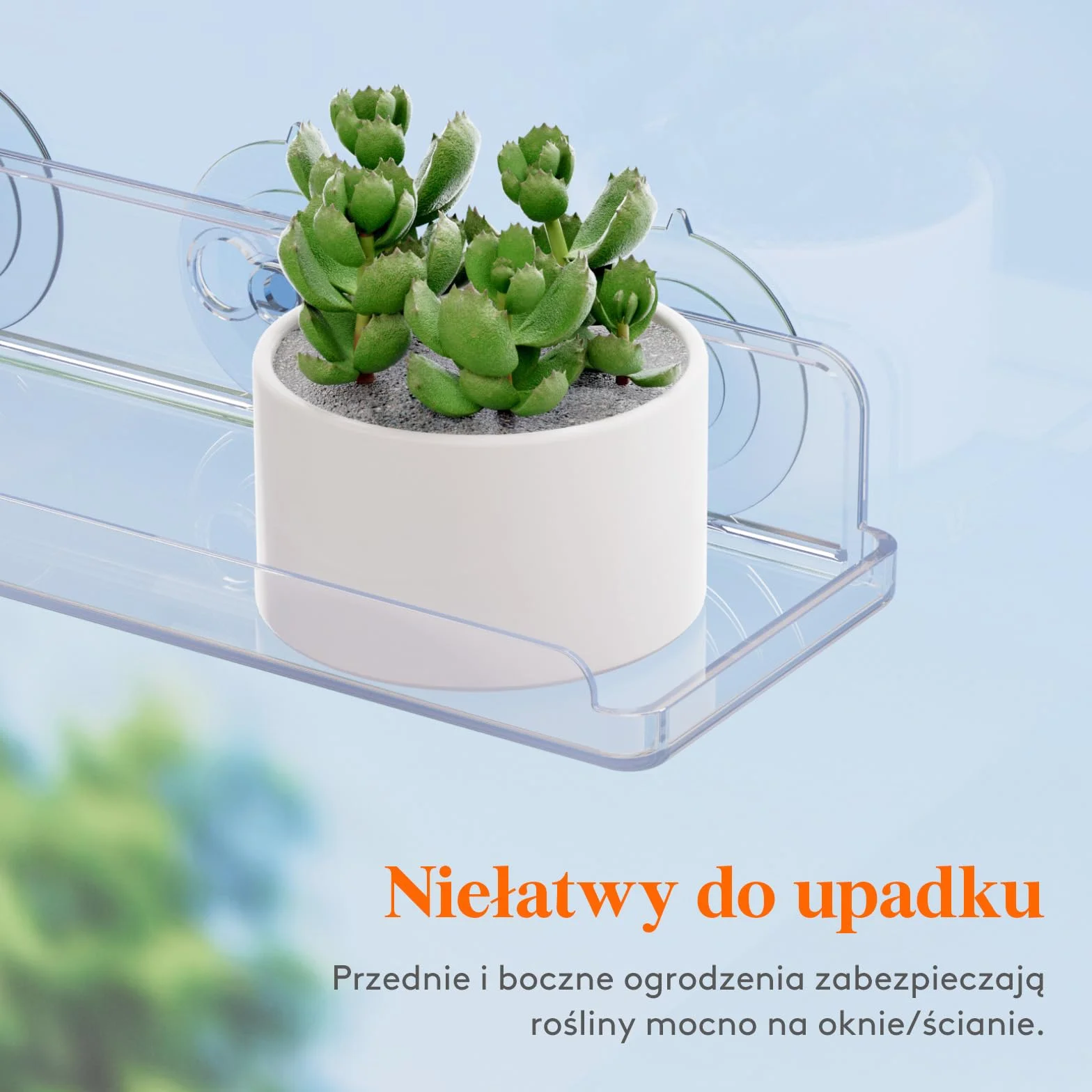 Pływające półki okienne na rośliny Lifewit 15 cali, 2 akrylowe półki z przyssawkami, przedłużacz parapetu do wewnętrznych sukulentów, mikro zieleni, doniczki na nasiona, sadzarki do ziół