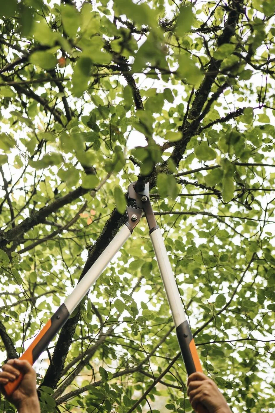Fiskars Powergear X Sekator Ogrodniczy, Wielokolorowy, LX 98