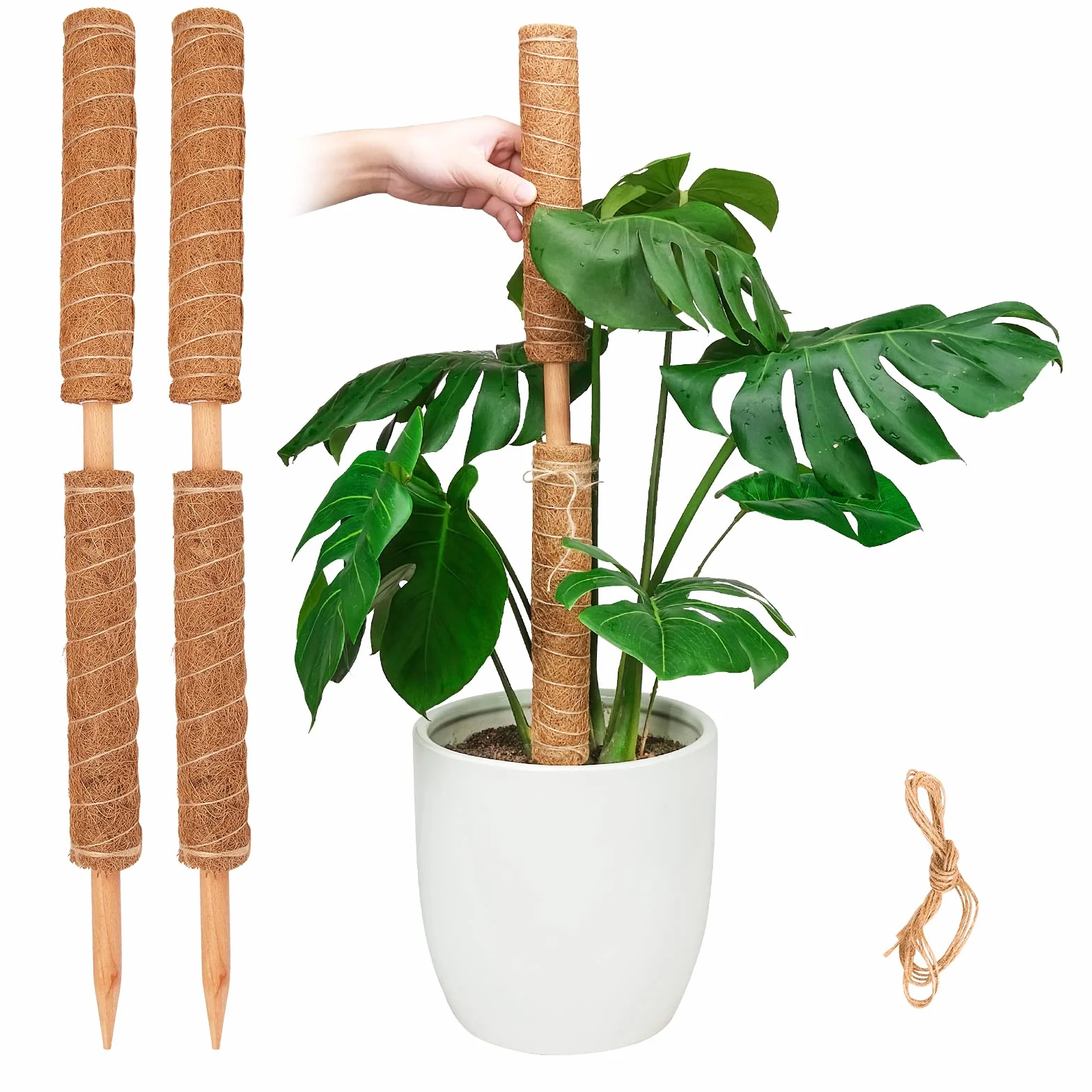 Słup do mchu do roślin monstera, wysuwany wspornik, 30 cm, kratka kokosowa, 4 szt.