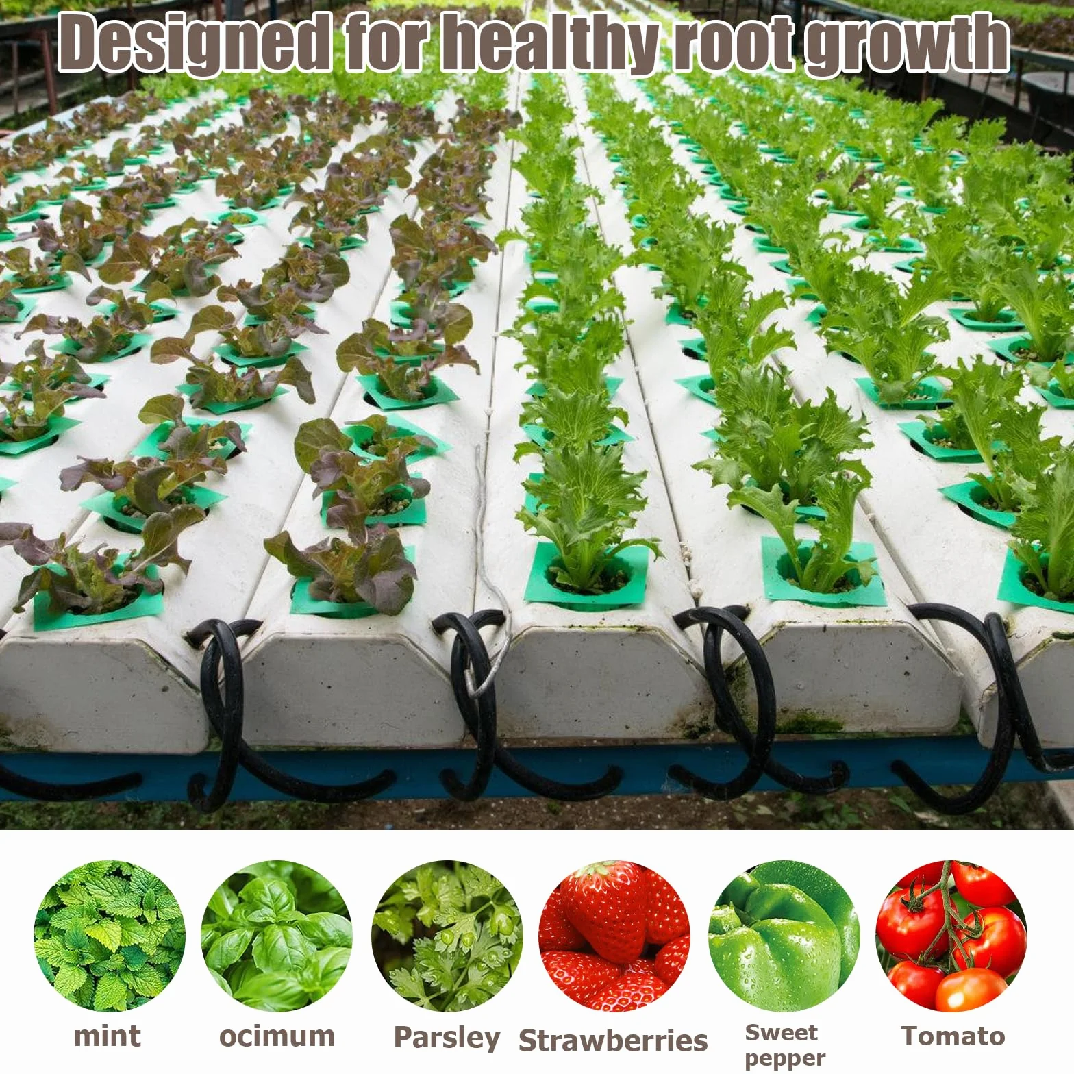 50 Sztuk Gąbek do Uprawy: Hydroponiczne Gąbki, Wymienne Gąbki, Organiczny Torf do Hydroponicznego Systemu Sadzenia Ogrodnictwa