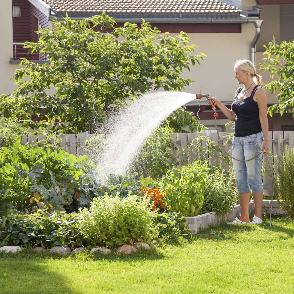 Trotec Elektryczne ciśnienie elektryczne TDP DS do sterowania pompami ogrodowymi i 1 fazą bez sieci automatycznego ciśnienia sieciowego